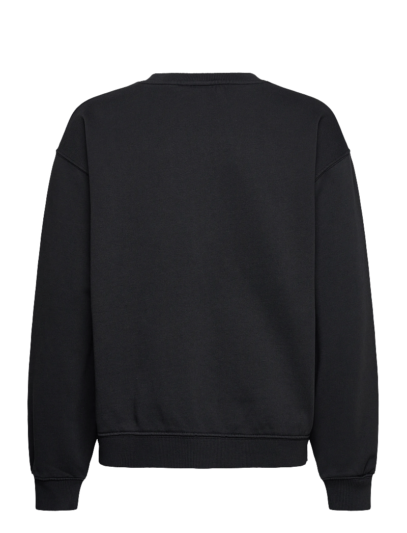 Roxy - LINEUP CREW BRUSHED RG - sweatshirts - anthracite - 1