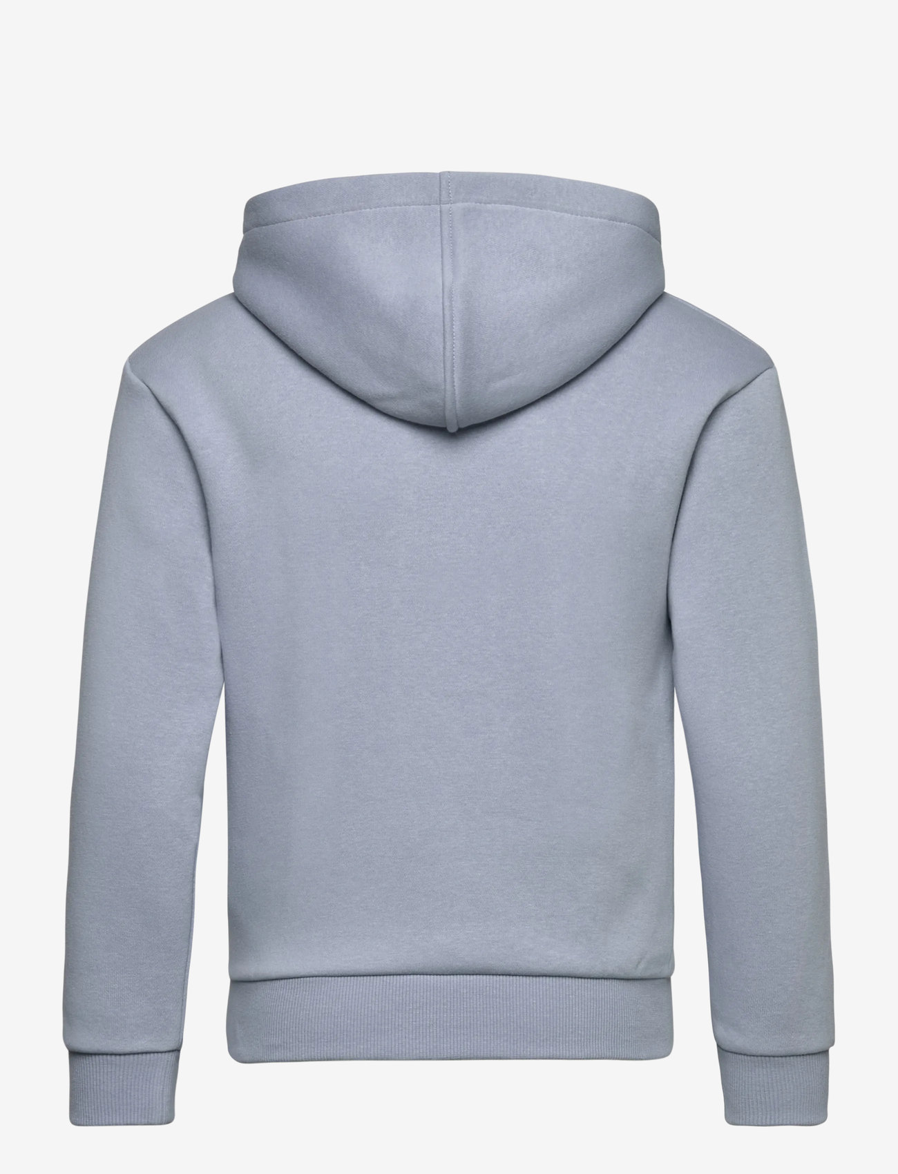 Roxy - SURF FEELING HOODIE BRUSHED - sügisesed riided - blue blizzard - 1