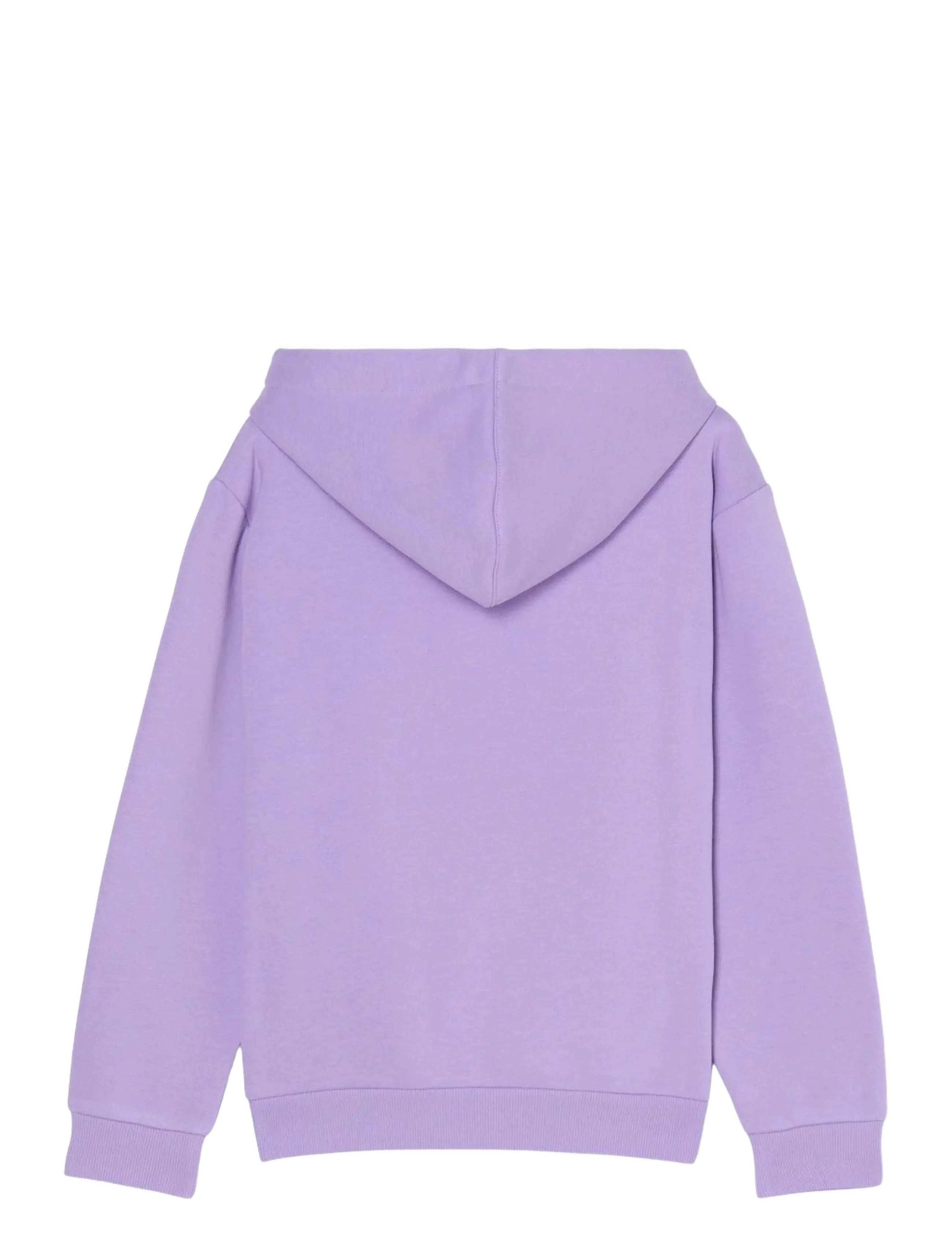 Roxy - SURF FEELING HOODIE BRUSHED - sweatshirts - viola - 1