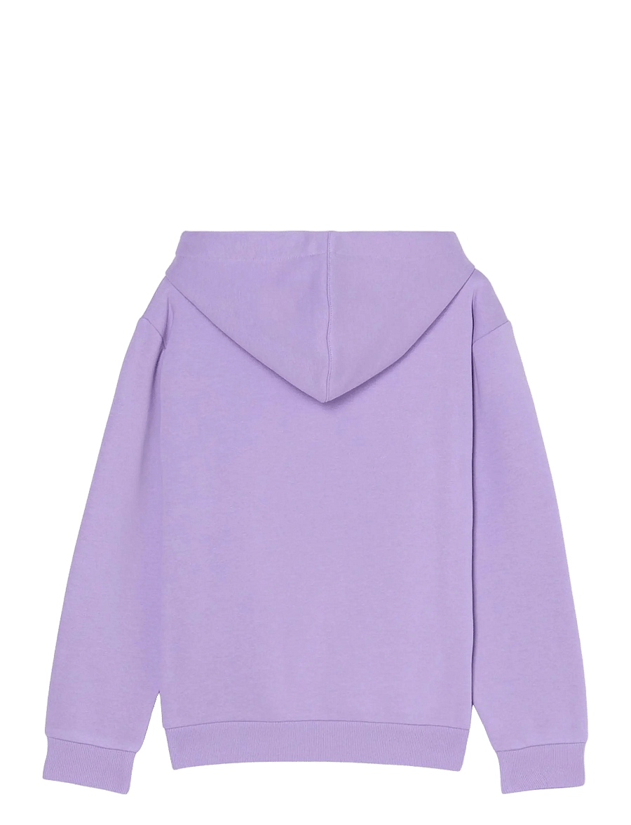 Roxy - SURF FEELING HOODIE BRUSHED - collegepaidat - viola - 1