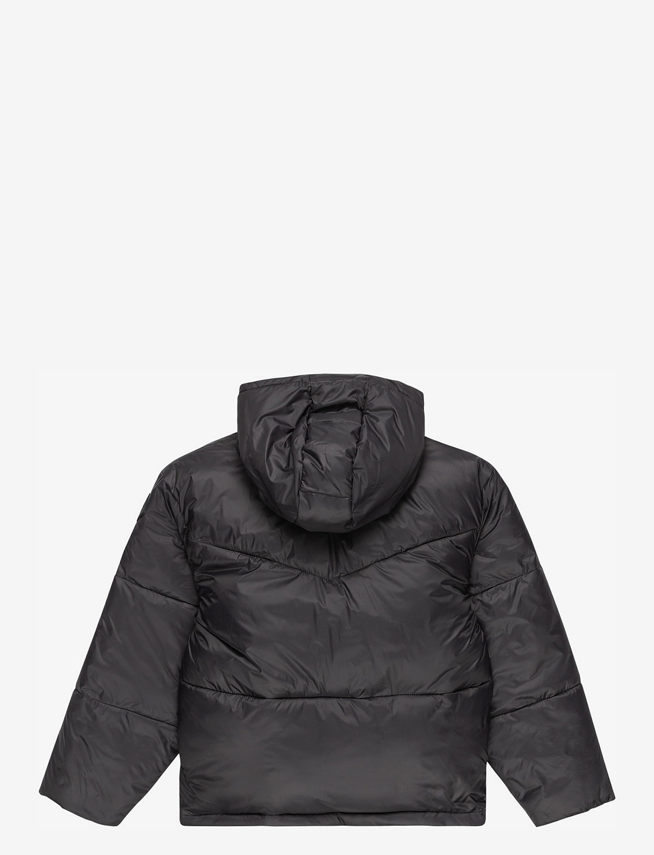 Roxy - FOREVER THIS YOUNG - daunen- und steppjacken - phantom - 1