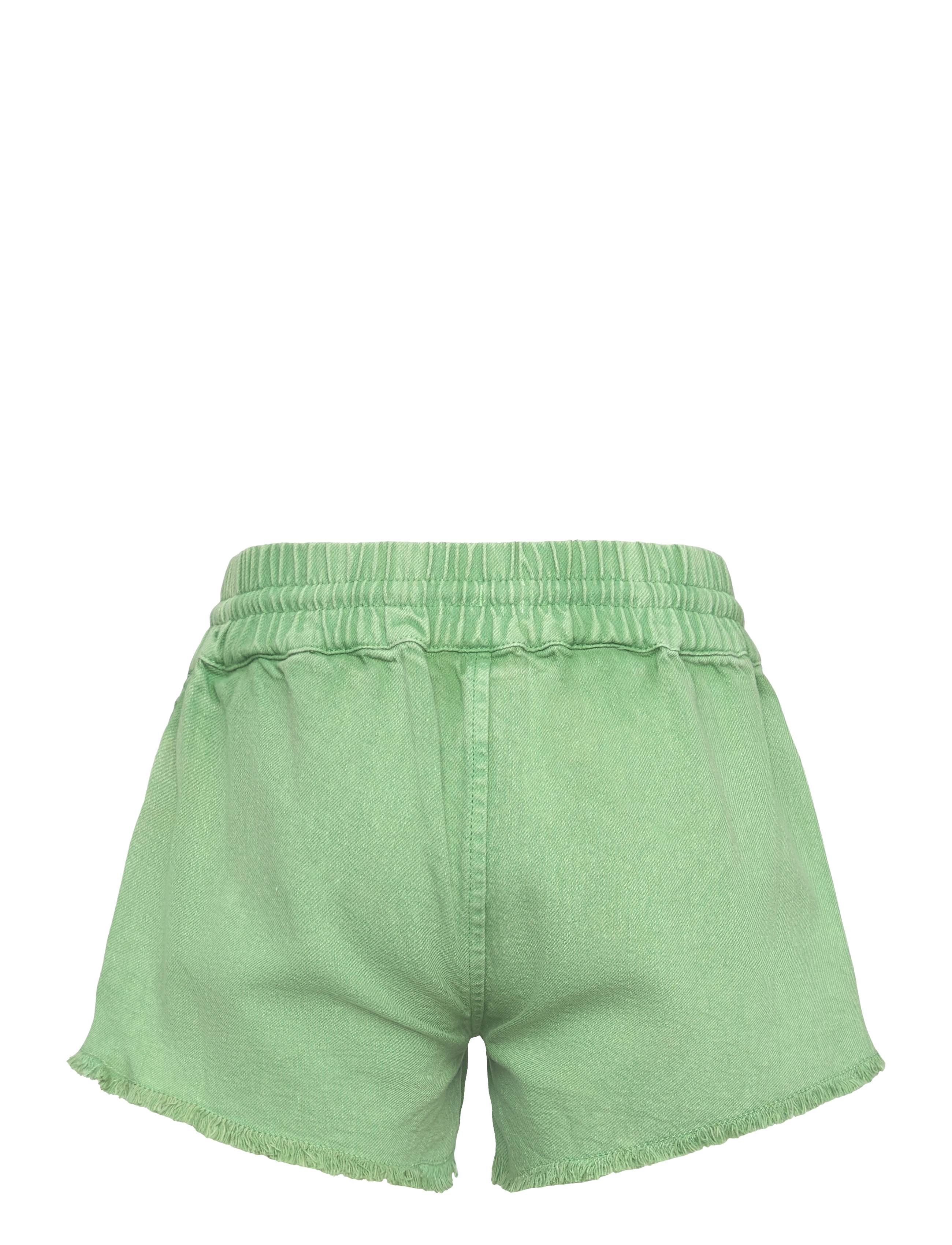Roxy - SCENIC ROUTE TWILL RG - sportsshorts - basil - 1