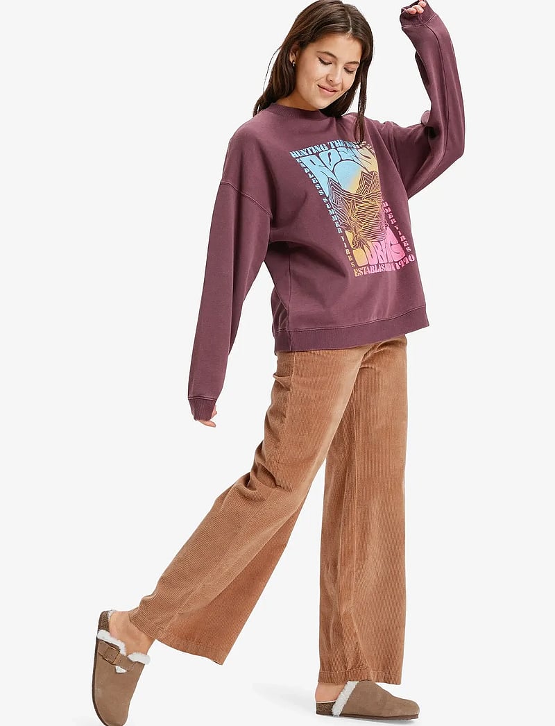 Roxy - LINEUP OVERSIZED CREW - kleidung - huckleberry - 4
