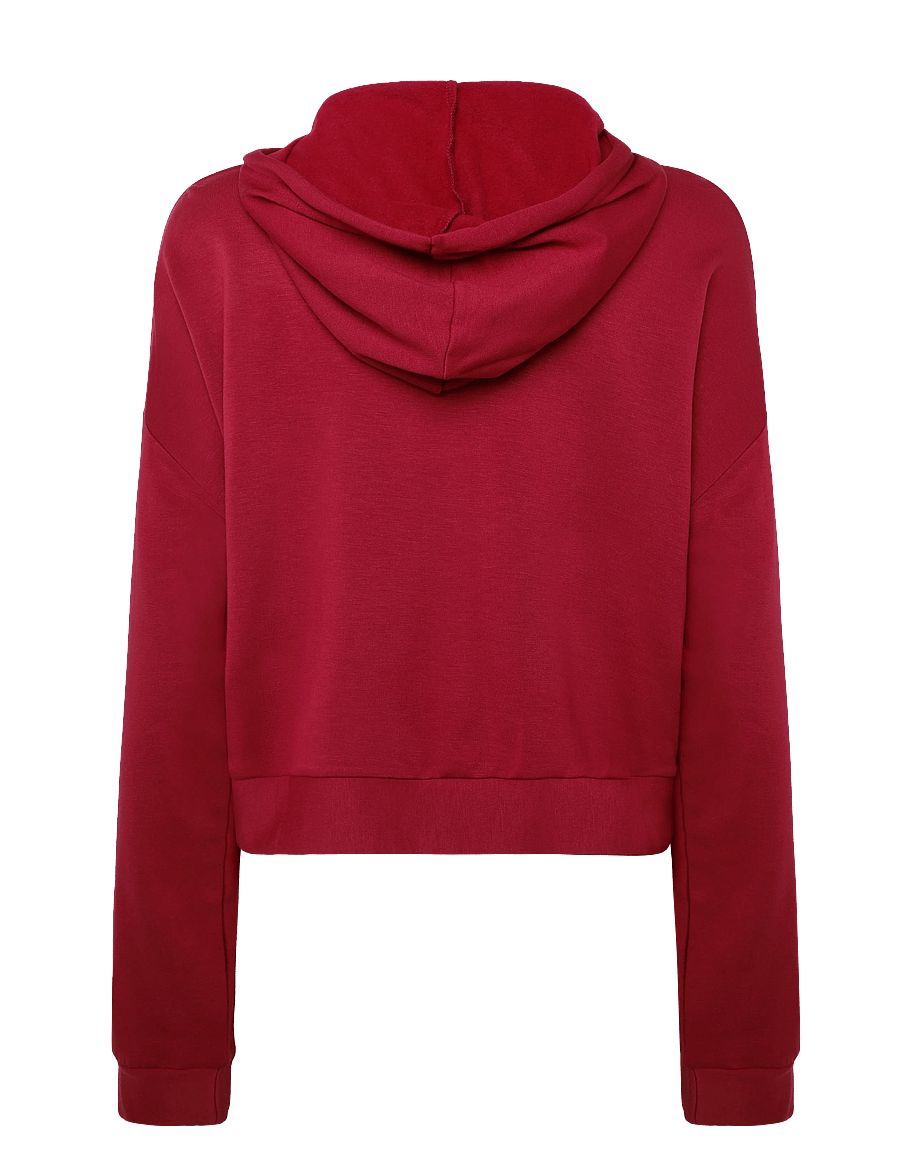 Roxy - SURFING BY DAYLIGHT HOODIE - kapuutsiga dressipluusid - beet red - 2