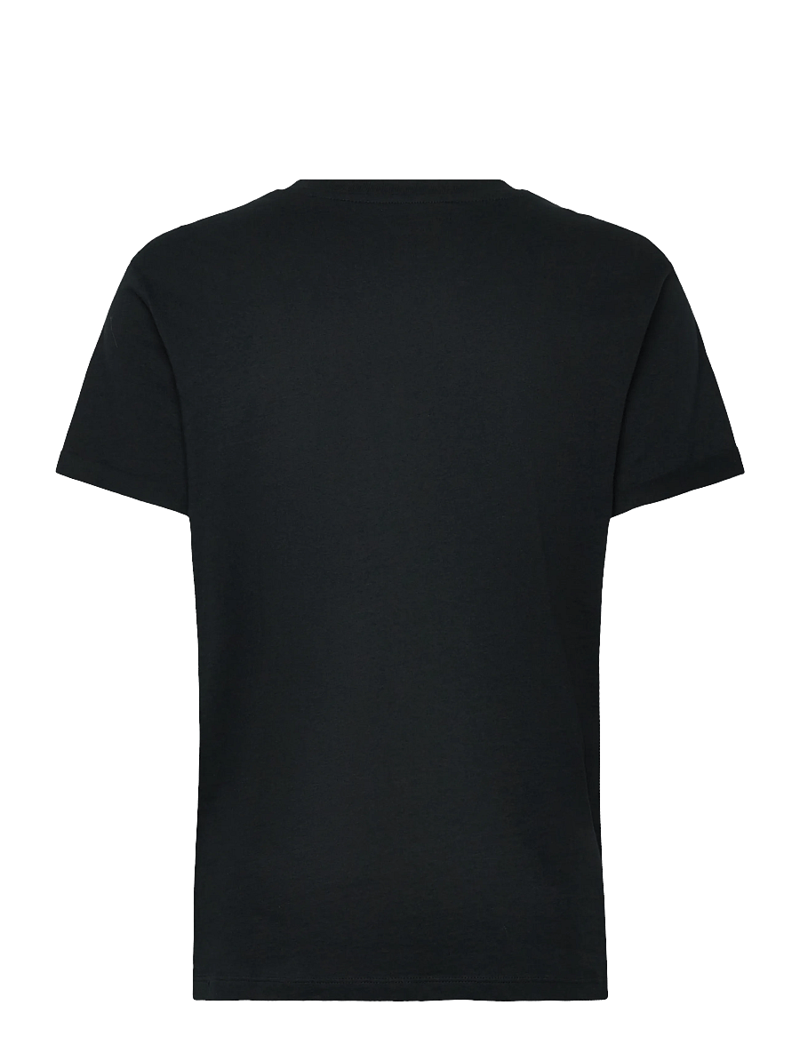 Roxy - OCEANREGULAR POSTER - t-shirts - anthracite - 2