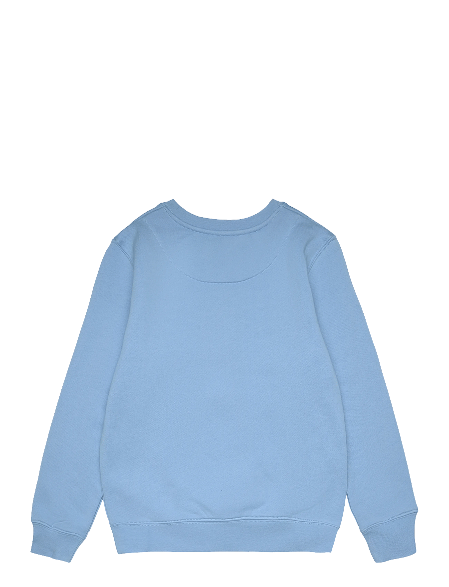 RS Sports - JR Club Sweatshirt (club collection) (Light Blue,4-6 Y,st) - dressipluusid - light blue - 1