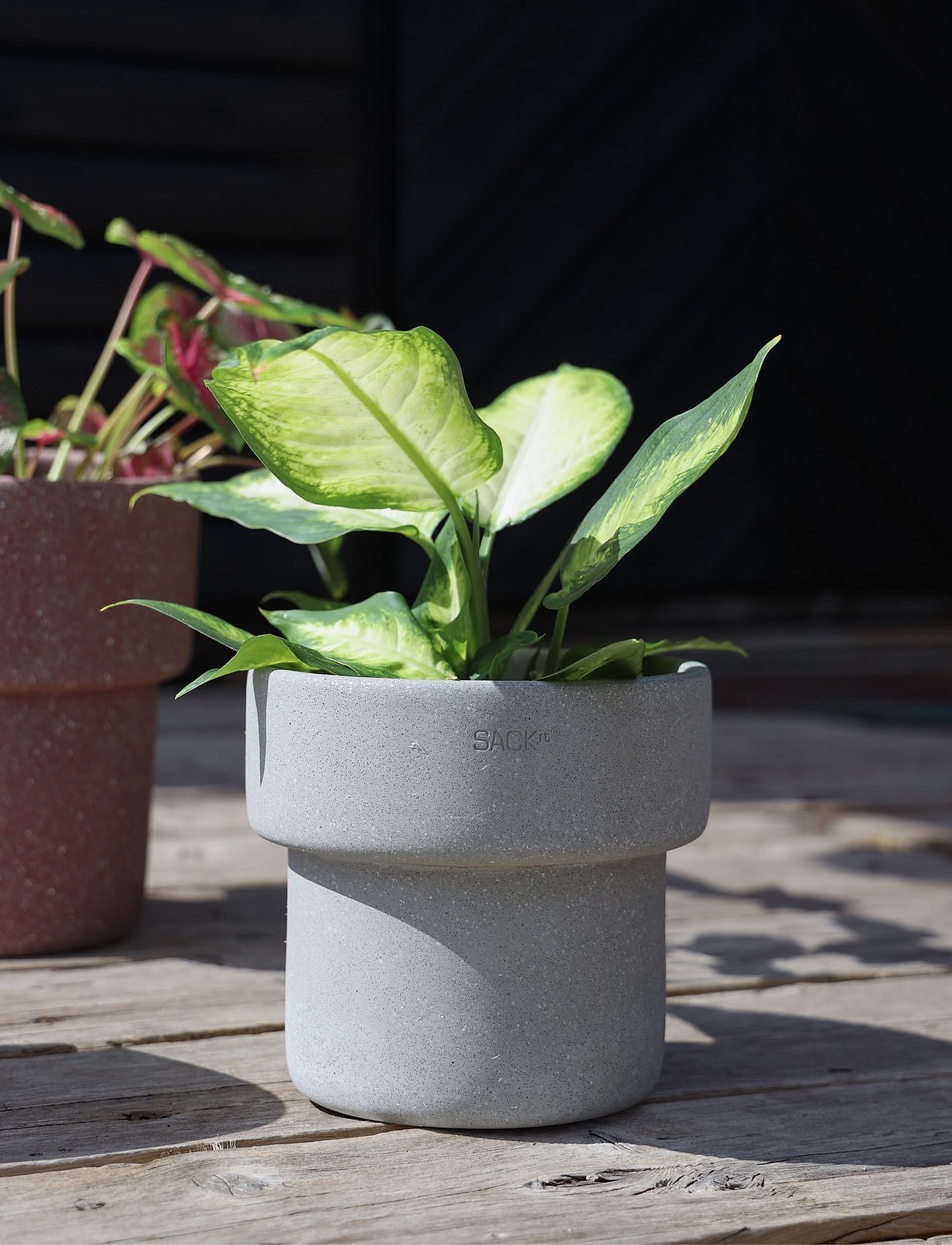 SACKit - Flowerpot - sünnipäevakingitused - grey - 3
