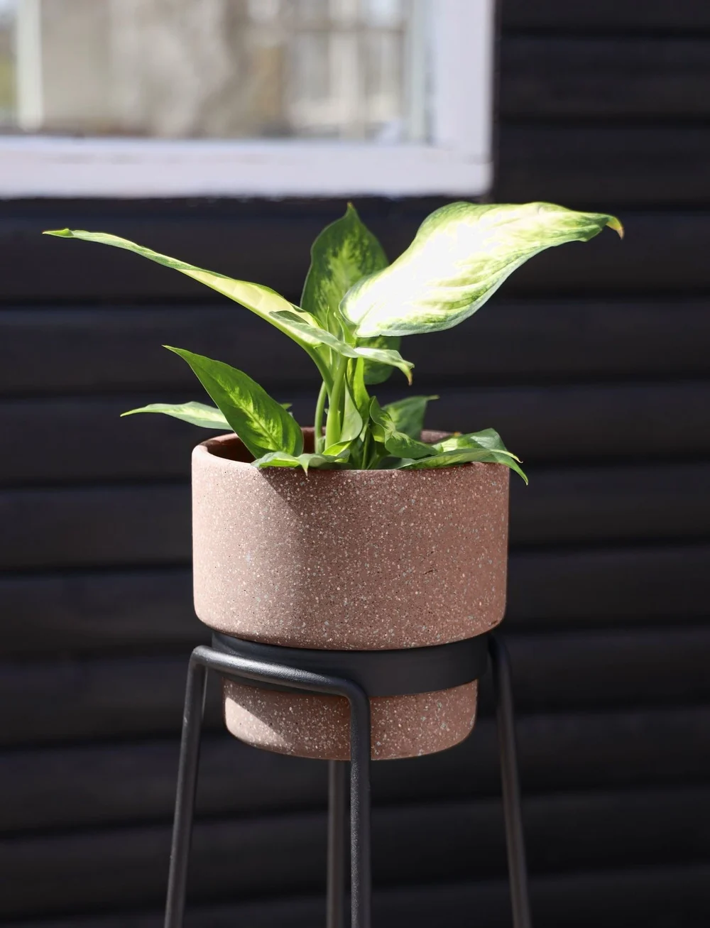 SACKit - Flowerpot - pots de fleurs - rose - 3