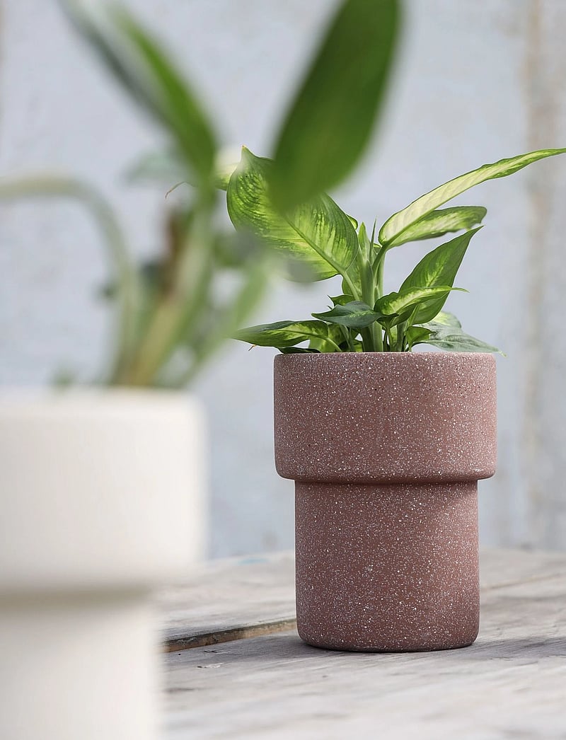 SACKit - Flowerpot - gifts below 15000kr - rose - 2
