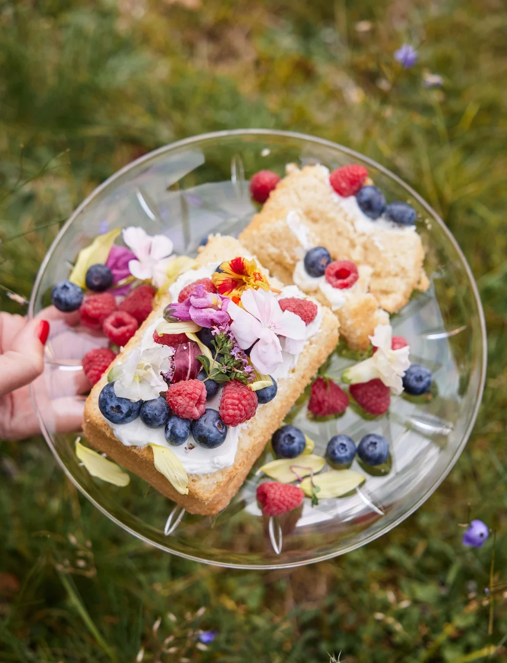 Sagaform - Picnic Juni plate - picknick-zubehör - clear - 3