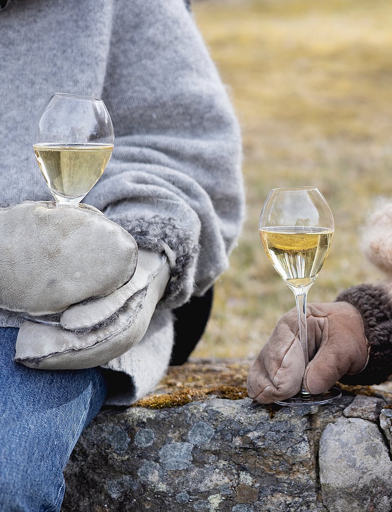 Sagaform - Saga champagne glass, 2-pack - kampavínsglös - clear - 2