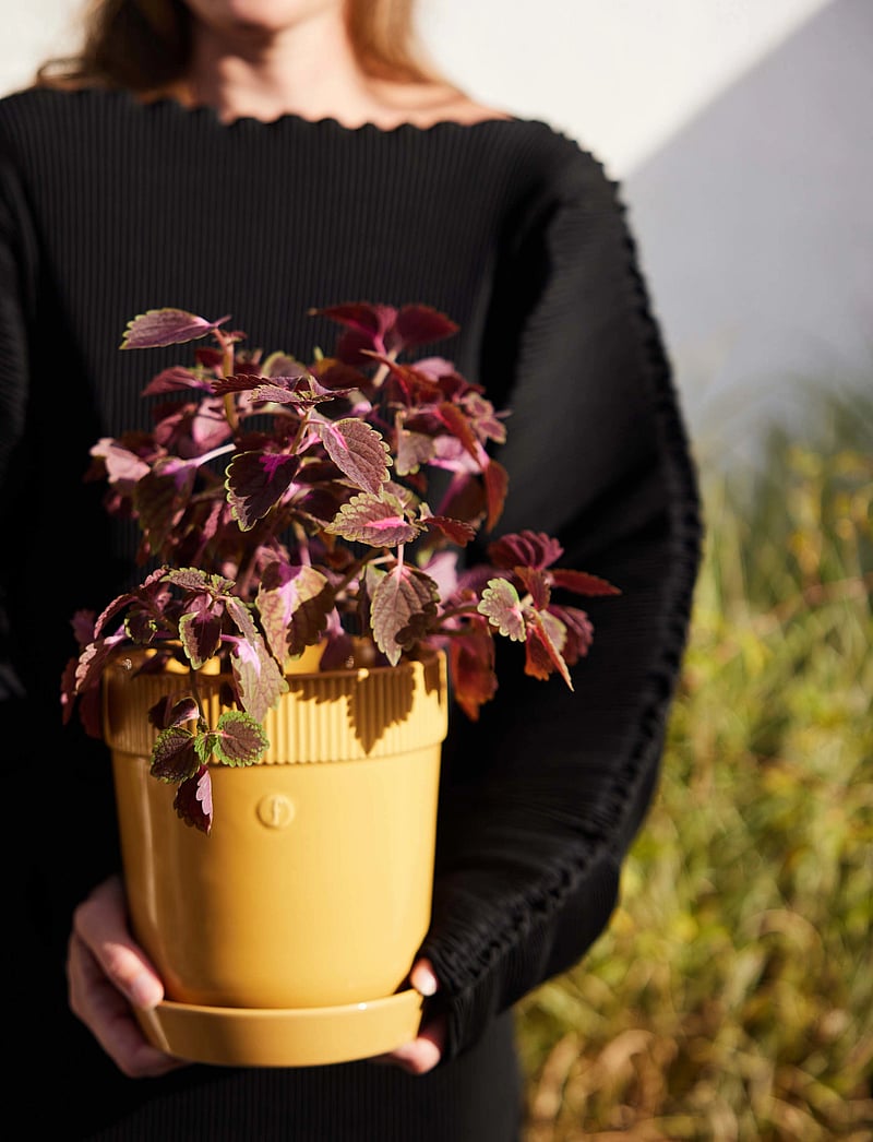 Sagaform - Elise Pot - nach preis einkaufen - yellow - 1