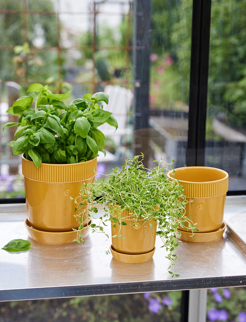 Sagaform - Elise Pot - nach preis einkaufen - yellow - 2