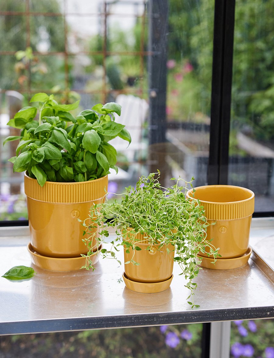 Sagaform - Elise Pot - geburtstagsgeschenke - yellow - 2