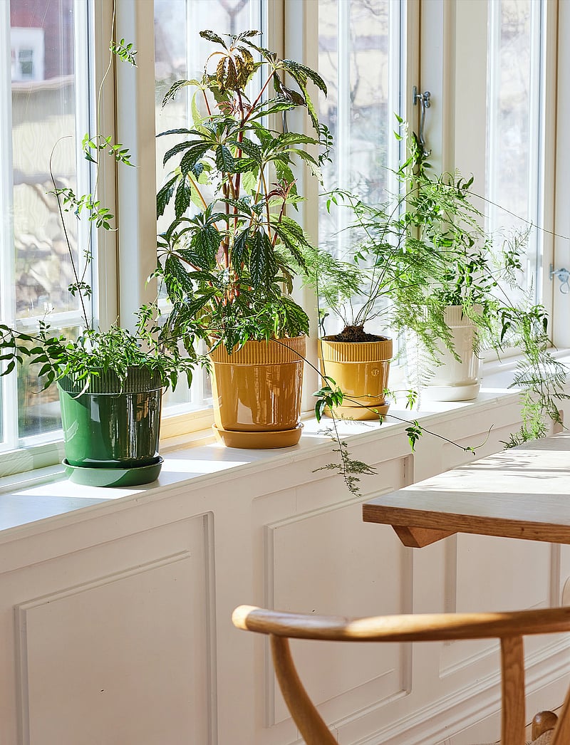 Sagaform - Elise Pot - nach preis einkaufen - yellow - 3