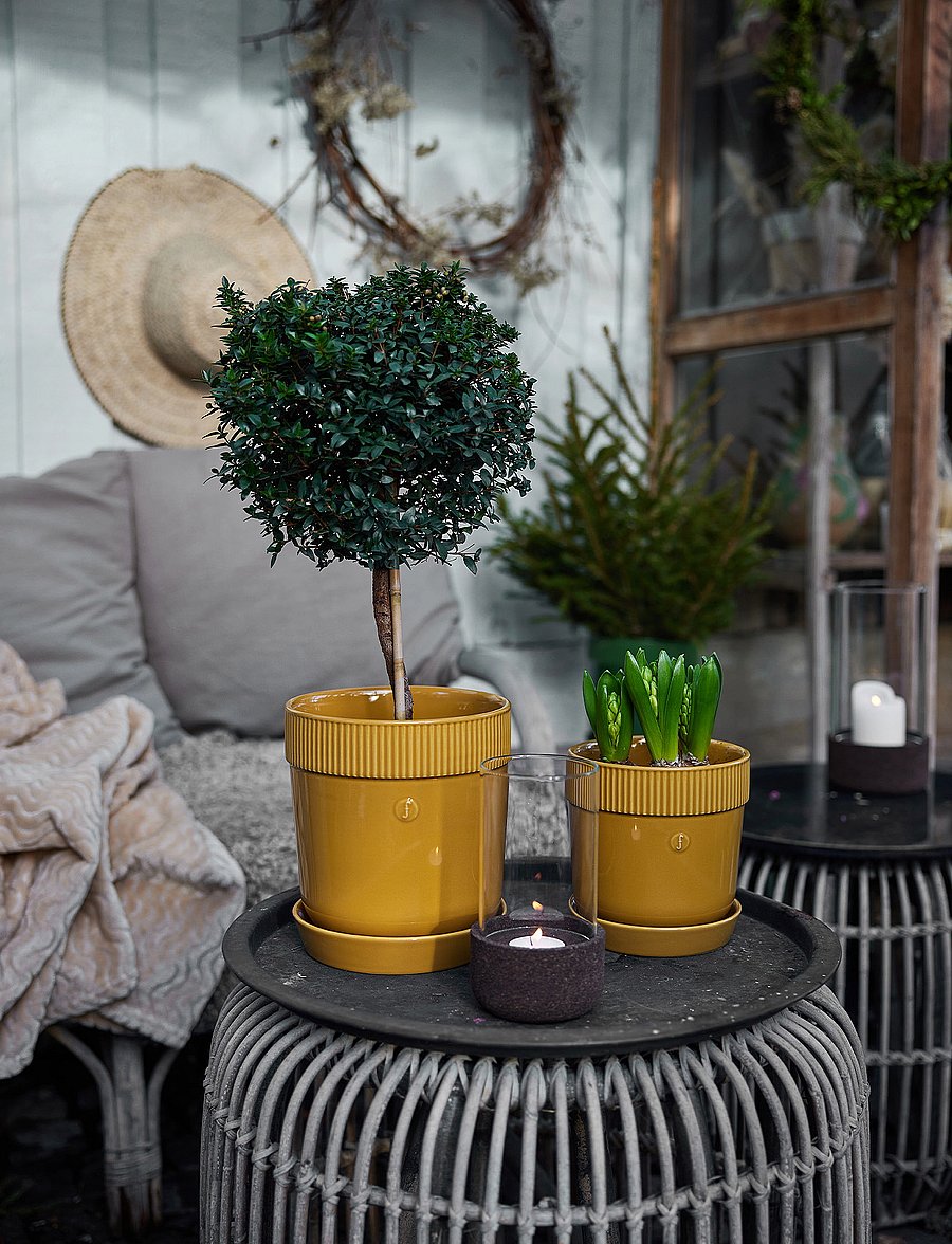 Sagaform - Elise Pot - geburtstagsgeschenke - yellow - 4