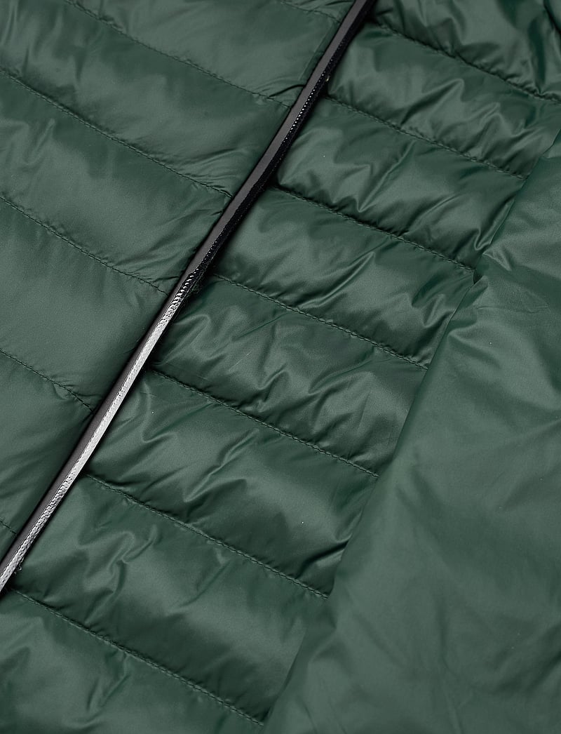 Sail Racing - W RACE PRIMALOFT VEST - yttertøy - pine green - 4