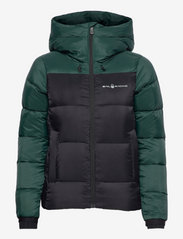 Sail Racing - W CLOUD DOWN HOOD - winter jacket - pine green - 0