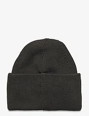 Sail Racing - RACE FOLDED BEANIE - pipot - dark forest - 1