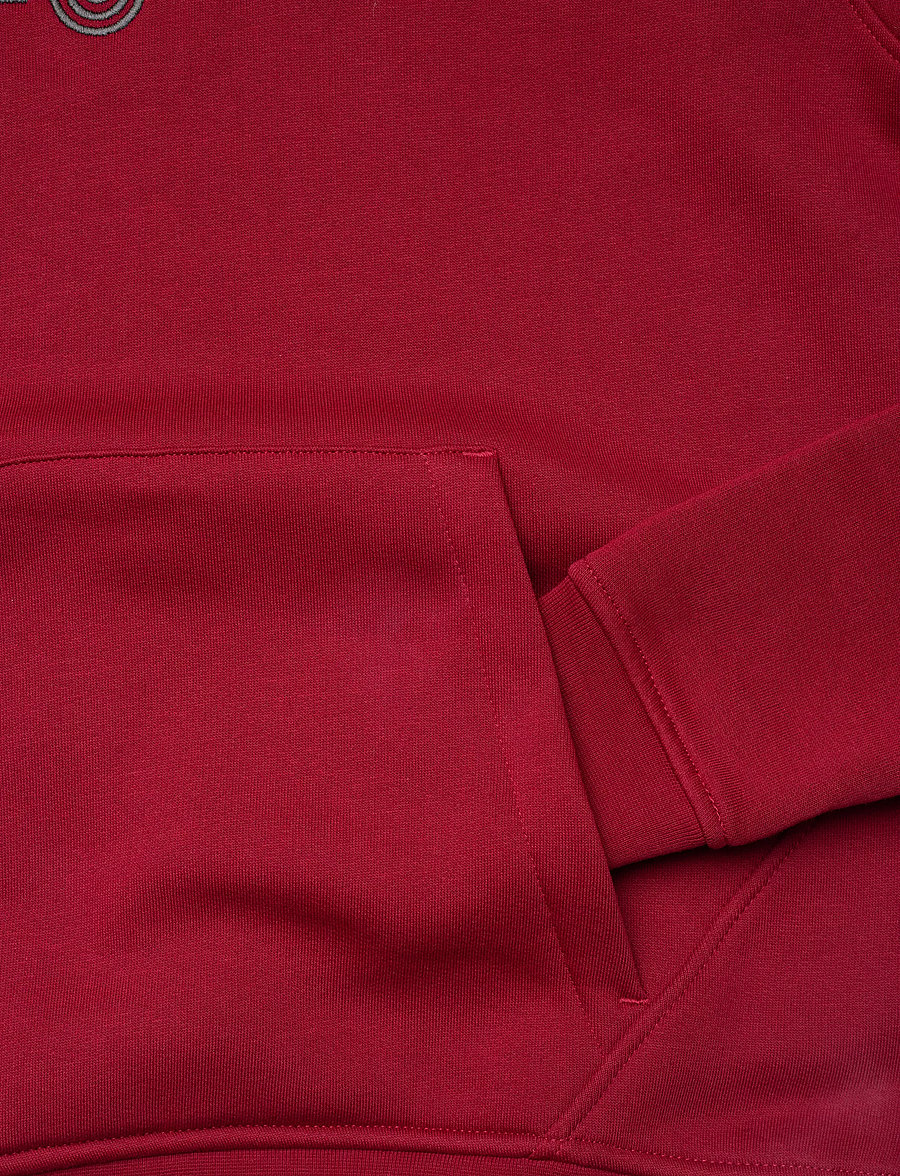 Sail Racing - W GALE HOOD - dressipluusid ja pusad - red dahlia - 3