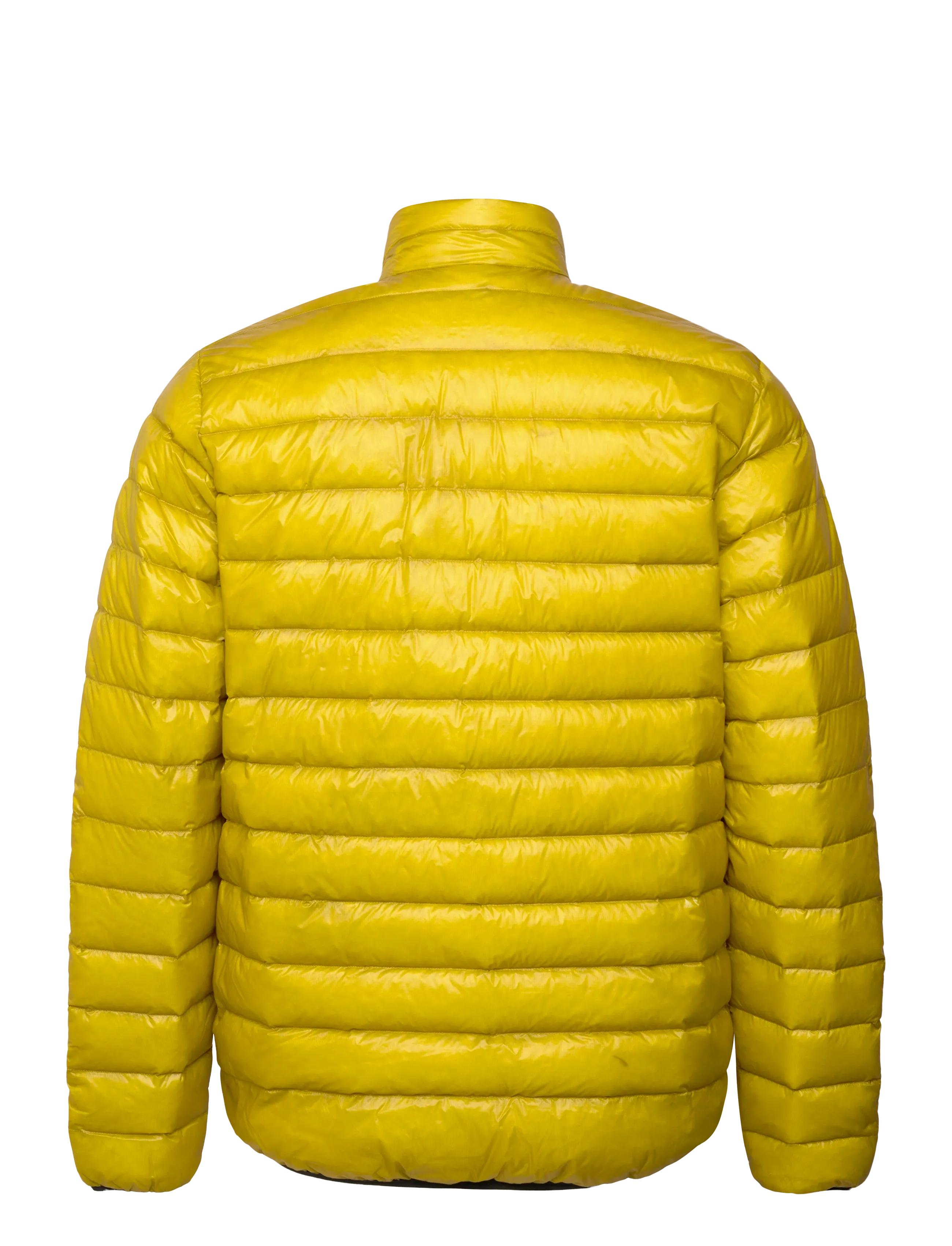 Sail Racing - FLOOD ULTRALIGHT JACKET - daunenjacken - yellow fall - 1