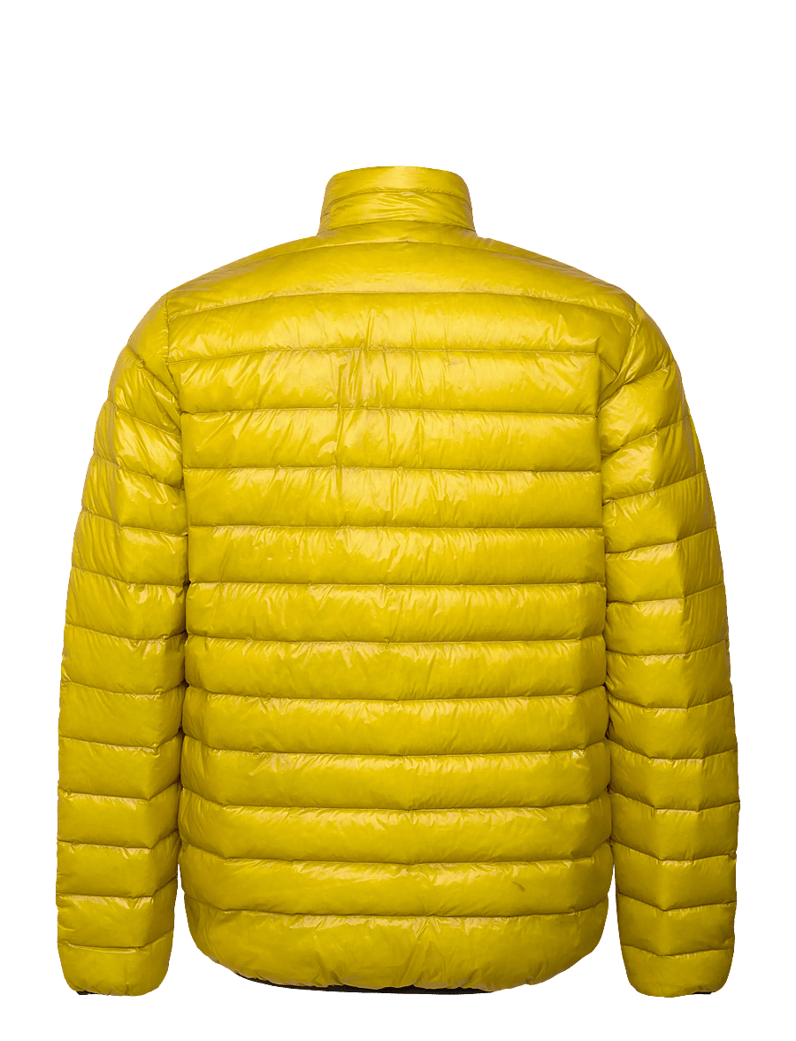 Sail Racing - FLOOD ULTRALIGHT JACKET - daunenjacken - yellow fall - 1