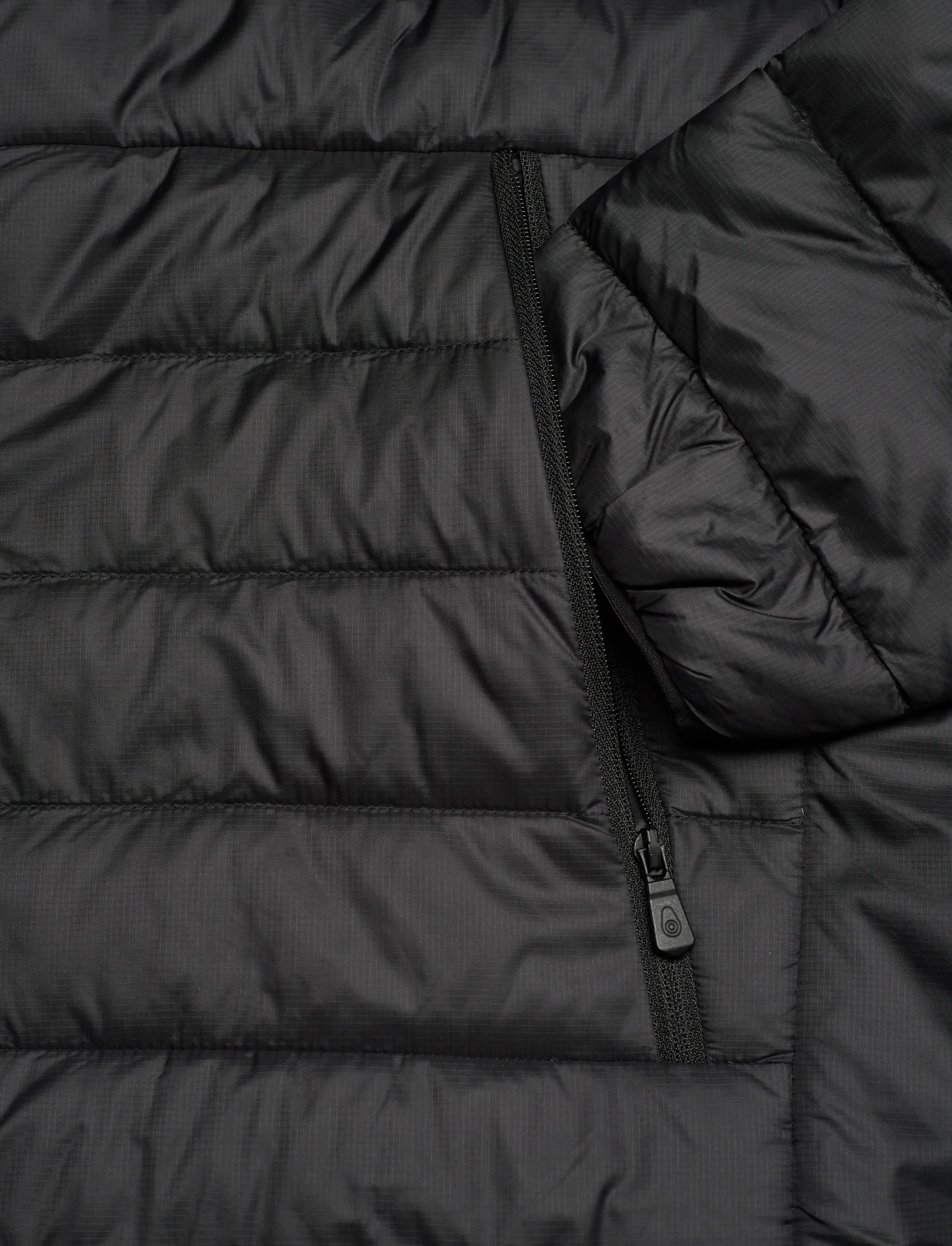 Sail Racing - SPRAY DOWN JACKET - striukės ir švarkeliai - carbon - 3