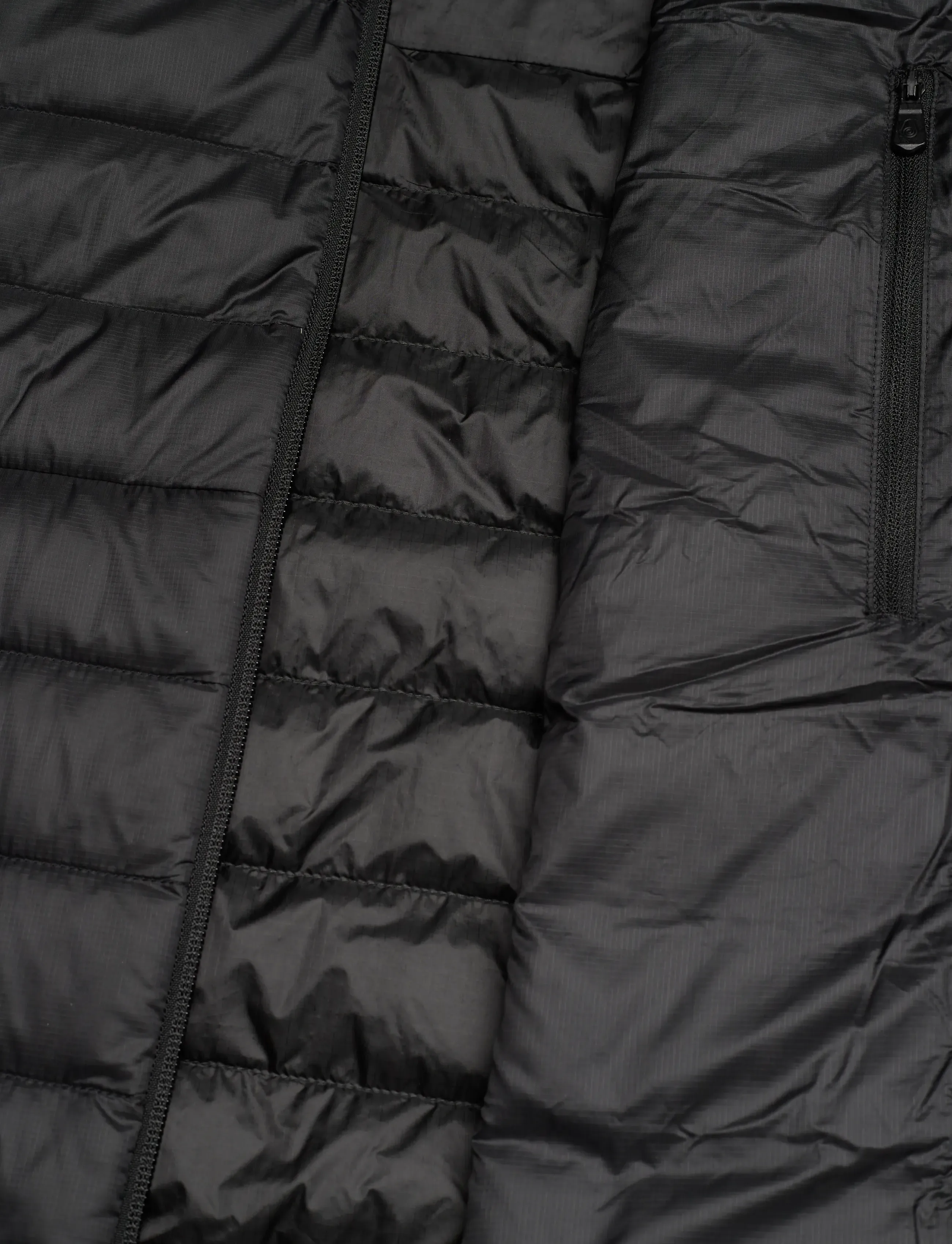 Sail Racing - SPRAY DOWN JACKET - striukės ir švarkeliai - carbon - 4