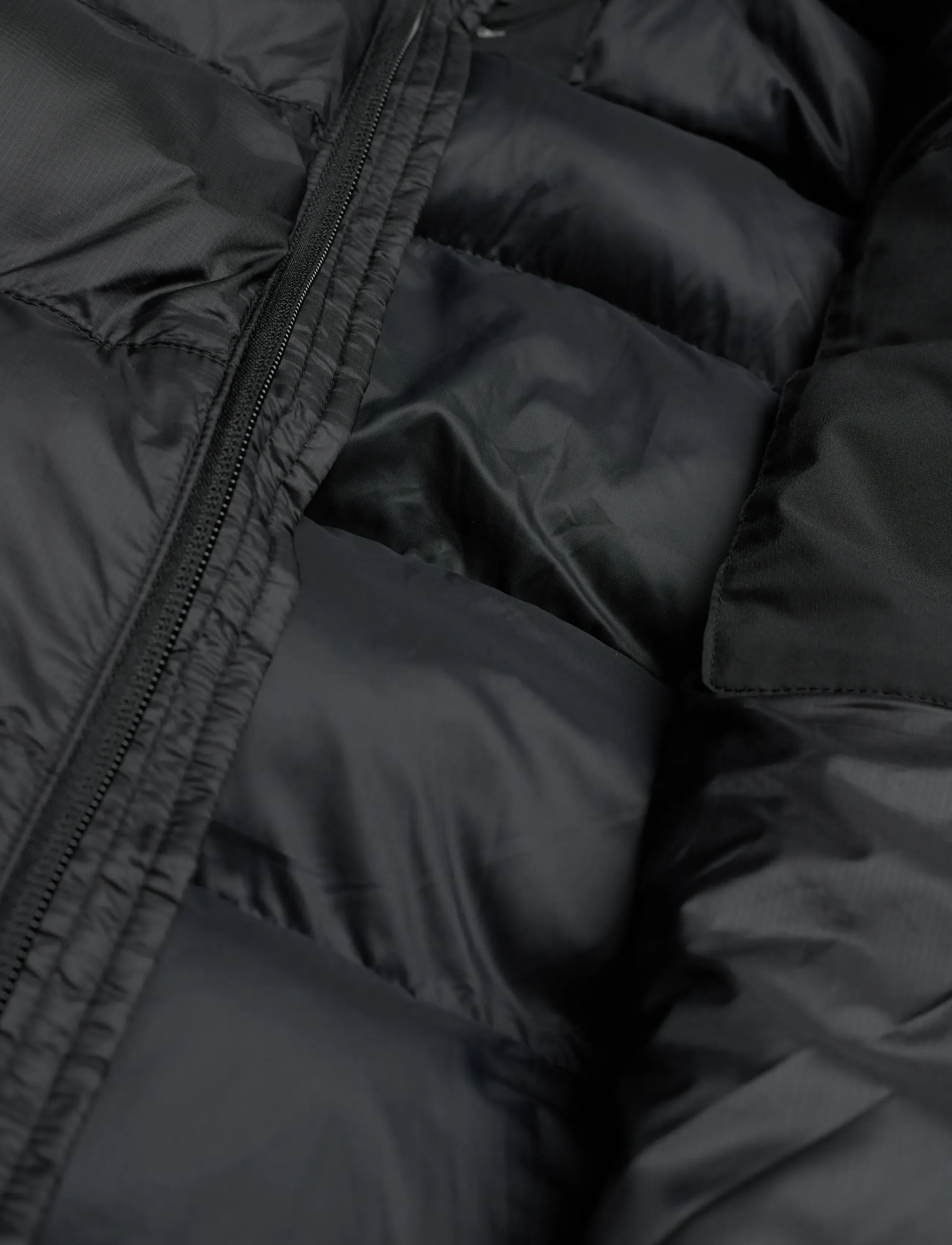 Sail Racing - JR CLOUD INSULATED HOOD - kurtka zimowa - carbon - 4