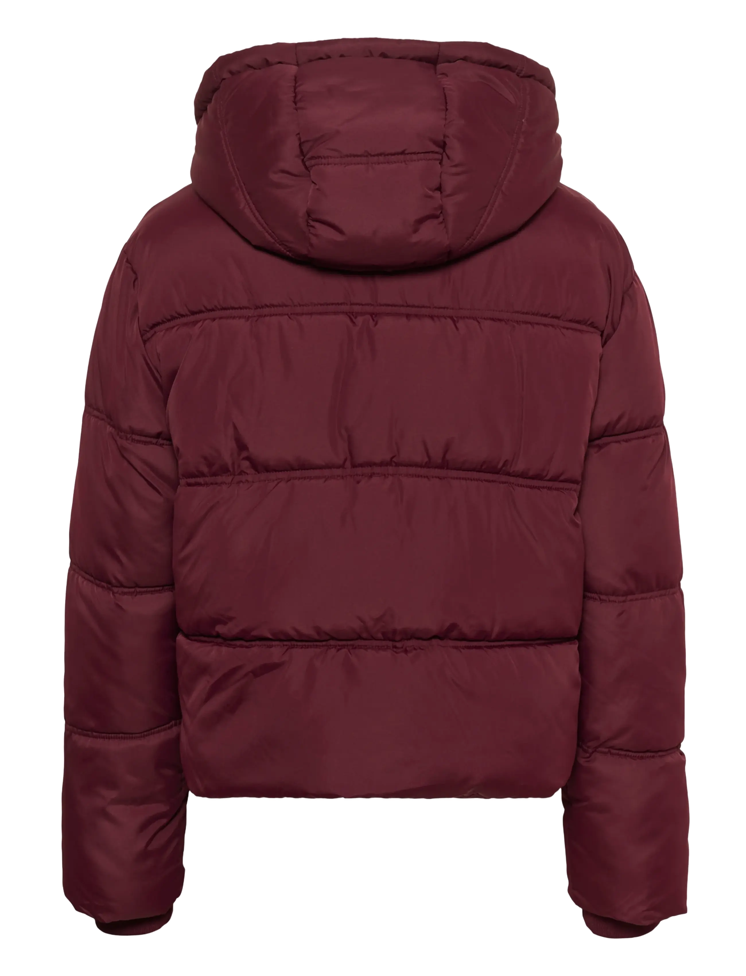 Saint Tropez - SammiSZ Jacket - winterjacken - port royale - 2