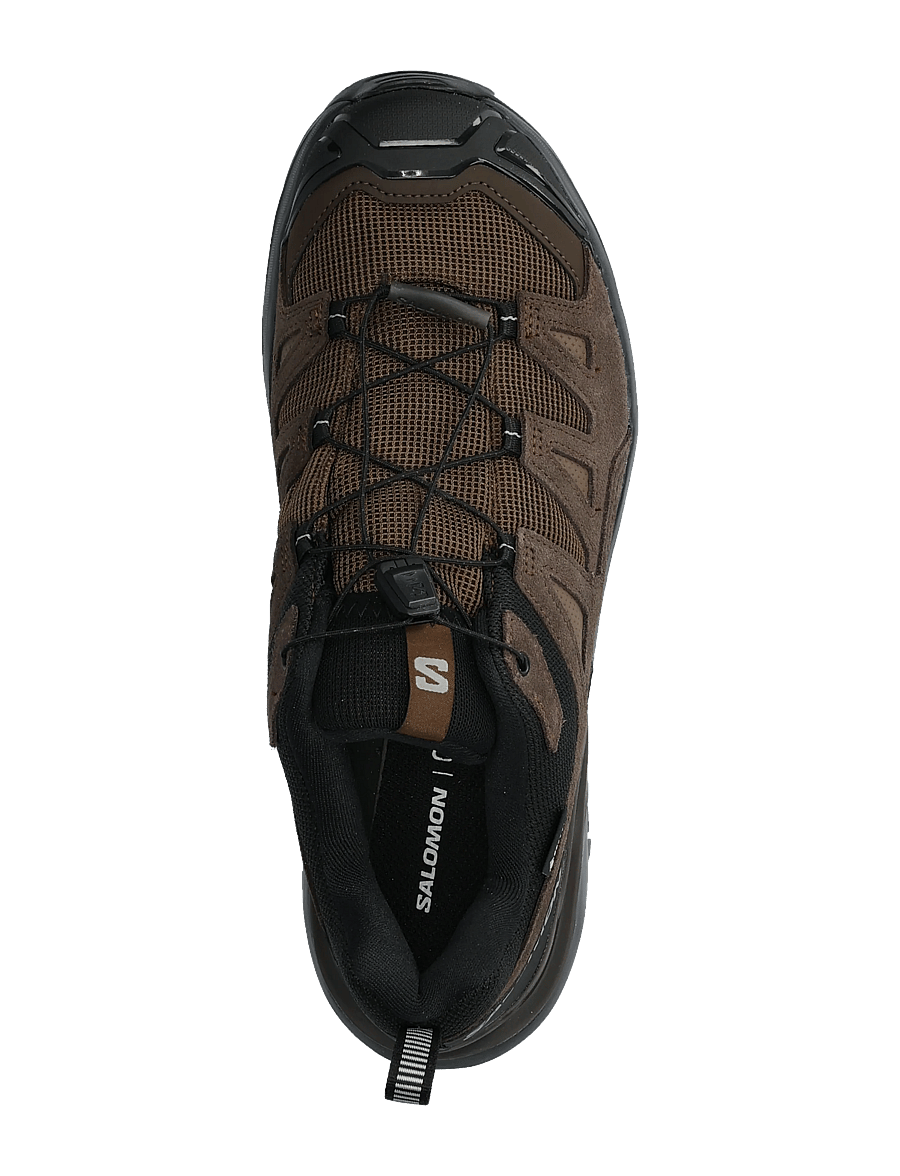Salomon - X ULTRA 360 LTR GTX - vandresko - dark earth / delicioso / sharkskin - 3