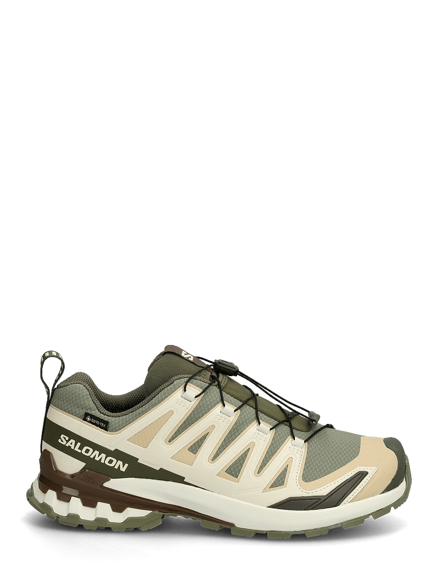 Salomon - XA PRO 3D V9 GTX - loopschoenen - deep lichen green / safari / dark earth - 1