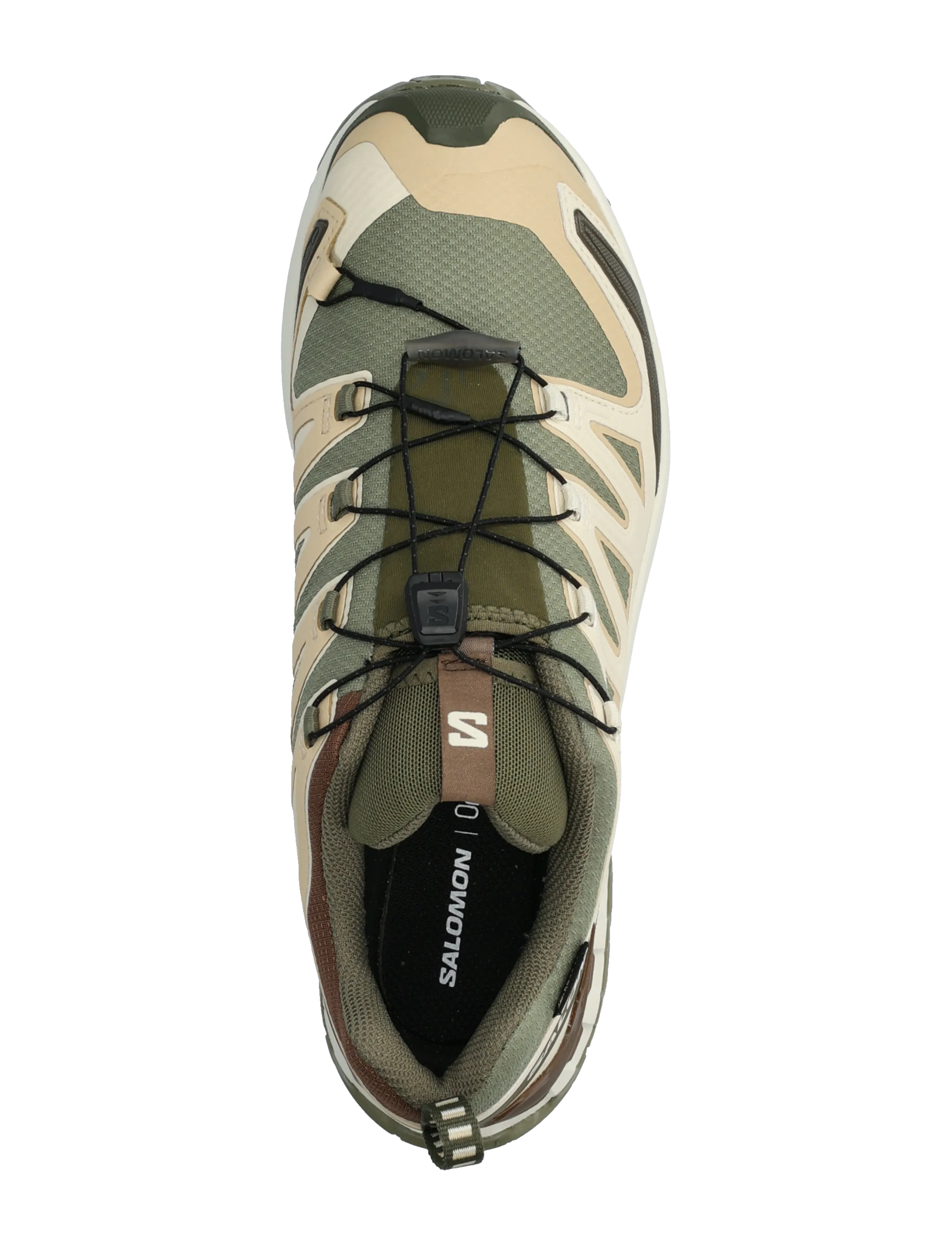 Salomon - XA PRO 3D V9 GTX - loopschoenen - deep lichen green / safari / dark earth - 3