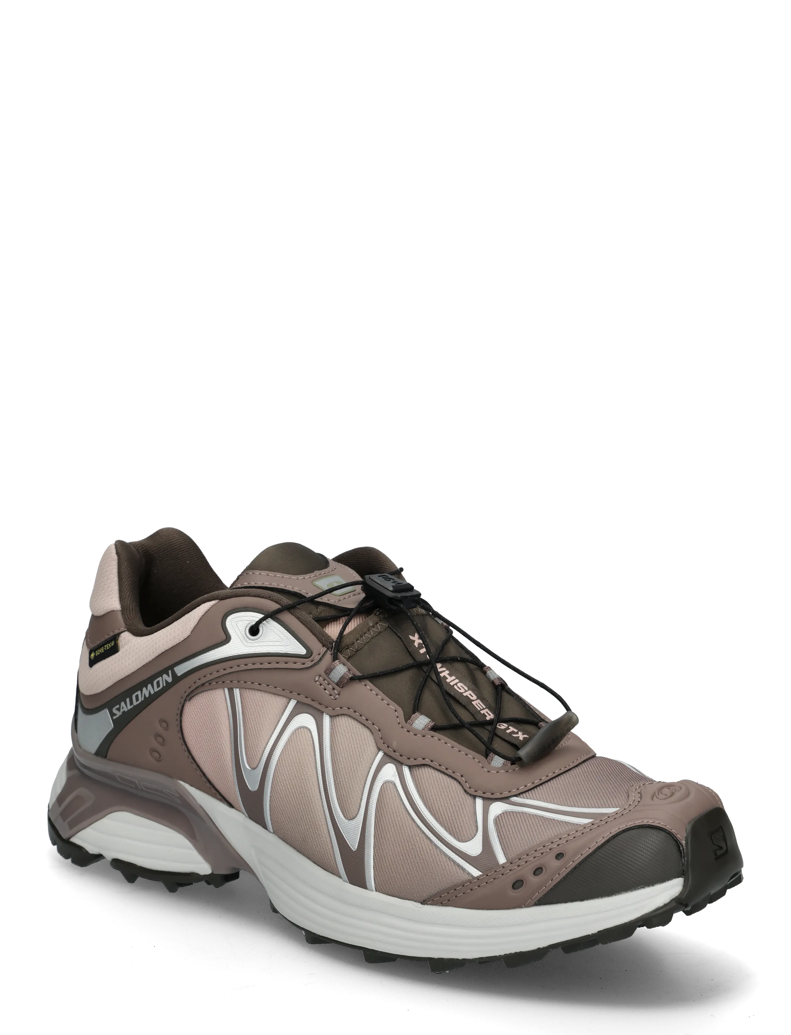 Salomon XT-WHISPER Gore-Tex - Jalanõud - IRON/SHADOW/BLKOLV / brown