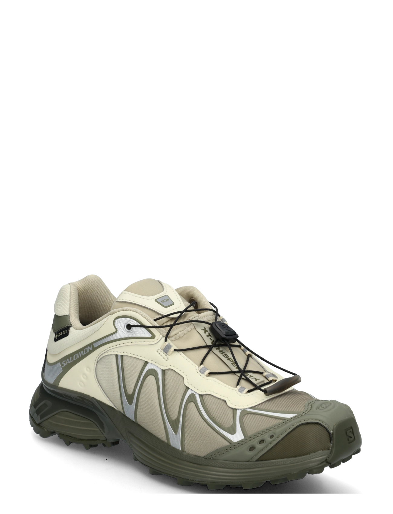 Salomon XT-WHISPER Gore-Tex - Festival-outfit - ASPARG/DLICGR/GRAPE / khaki/green