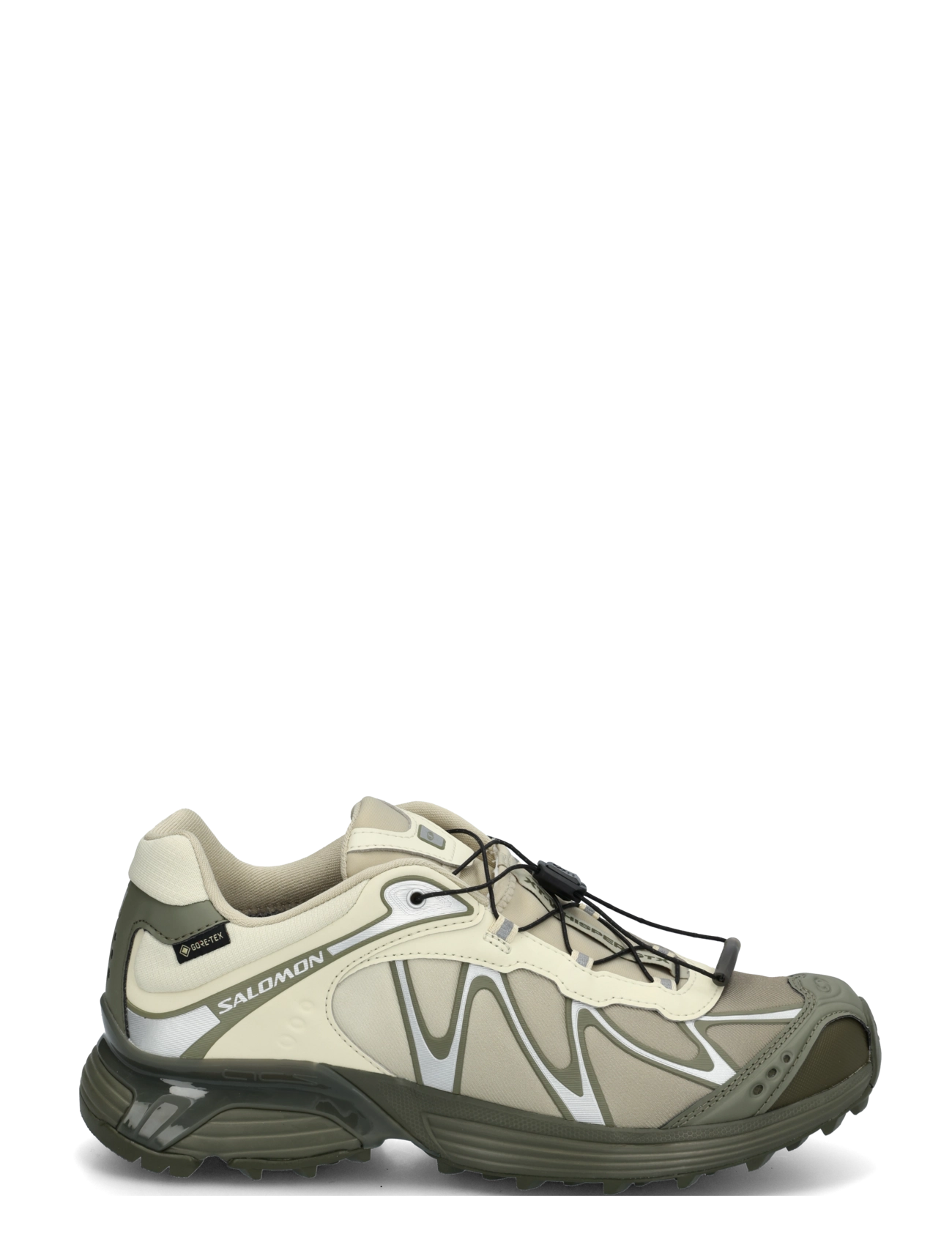 Salomon - XT-WHISPER Gore-Tex - asparg/dlicgr/grape - 2