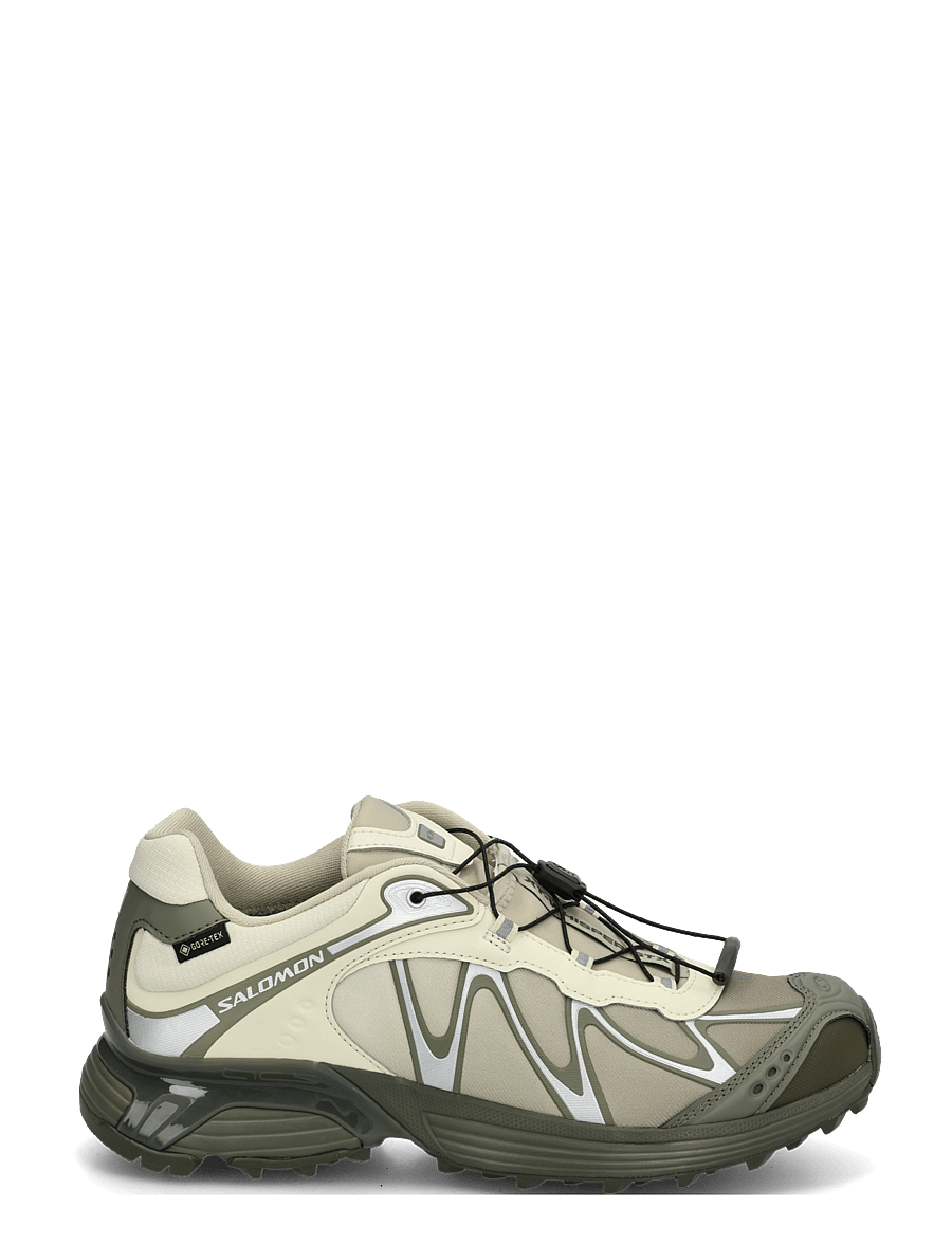 Salomon - XT-WHISPER Gore-Tex - madala säärega tossud - asparg/dlicgr/grape - 2