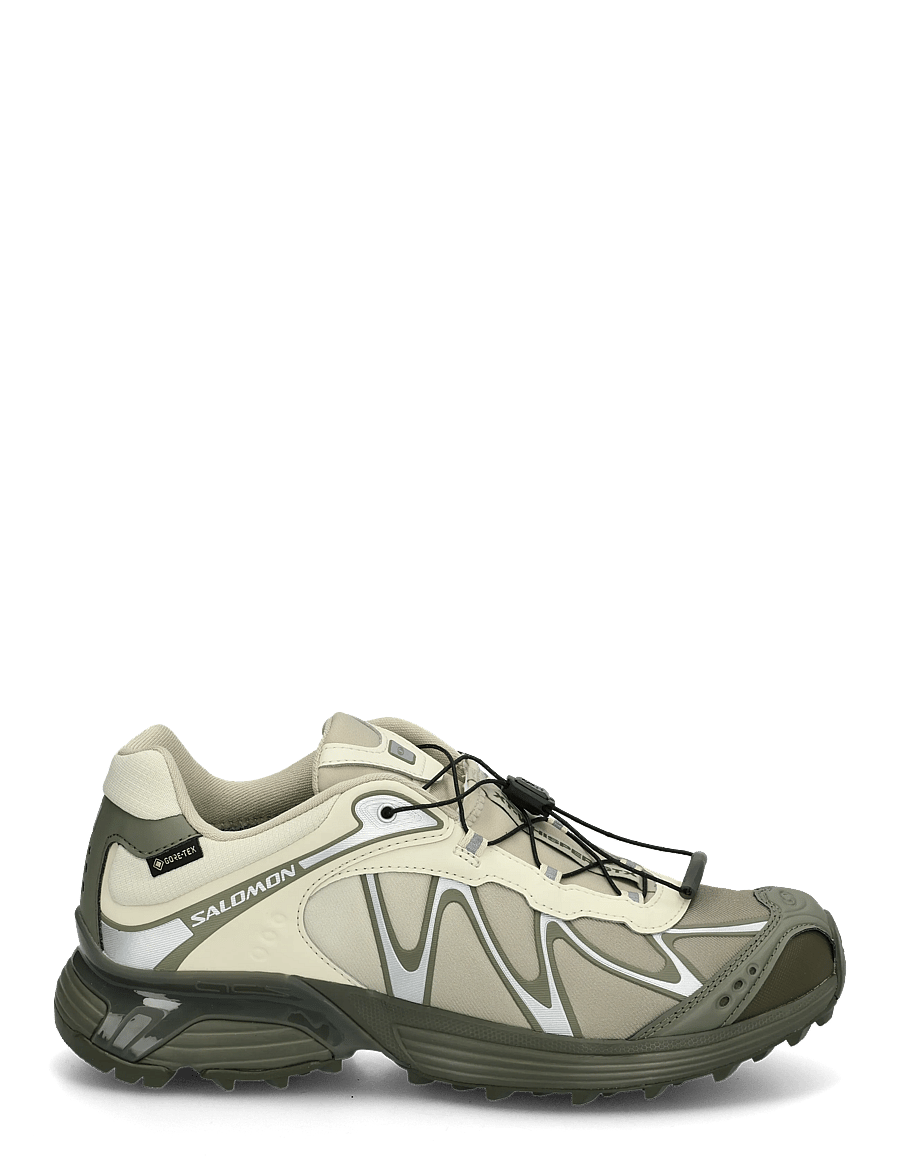 Salomon - XT-WHISPER Gore-Tex - lave sneakers - asparg/dlicgr/grape - 2