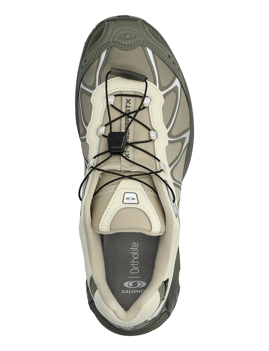 Salomon - XT-WHISPER Gore-Tex - madala säärega tossud - asparg/dlicgr/grape - 3
