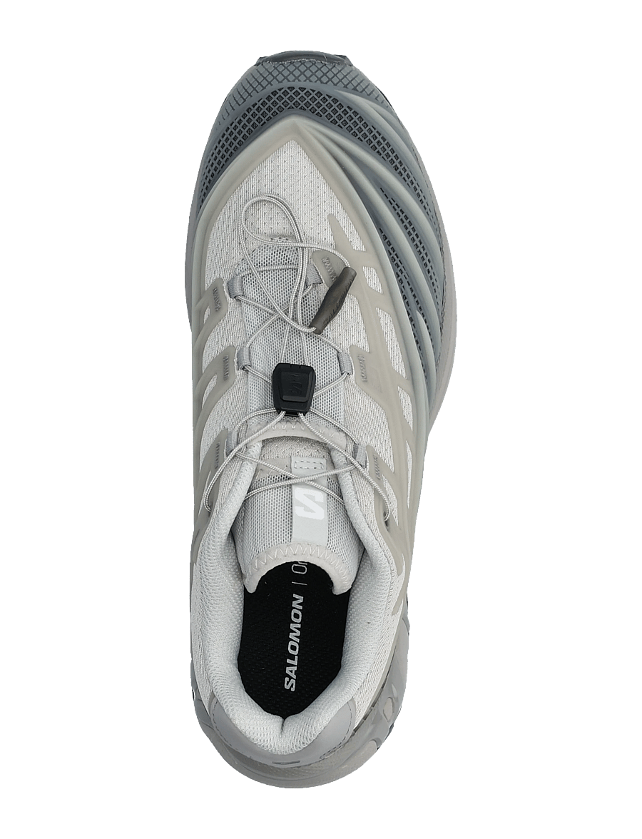 Salomon - XT-EVO - low tops - alloy/castlerock/ftw silver - 3