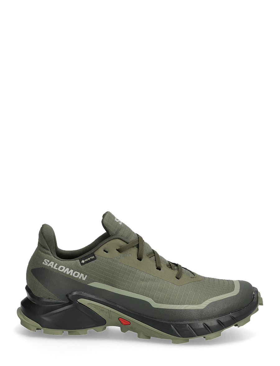 Salomon - CROSS ALPHACROSS 5 GTX - wanderschuhe - olive night / black / deep lichen green - 1