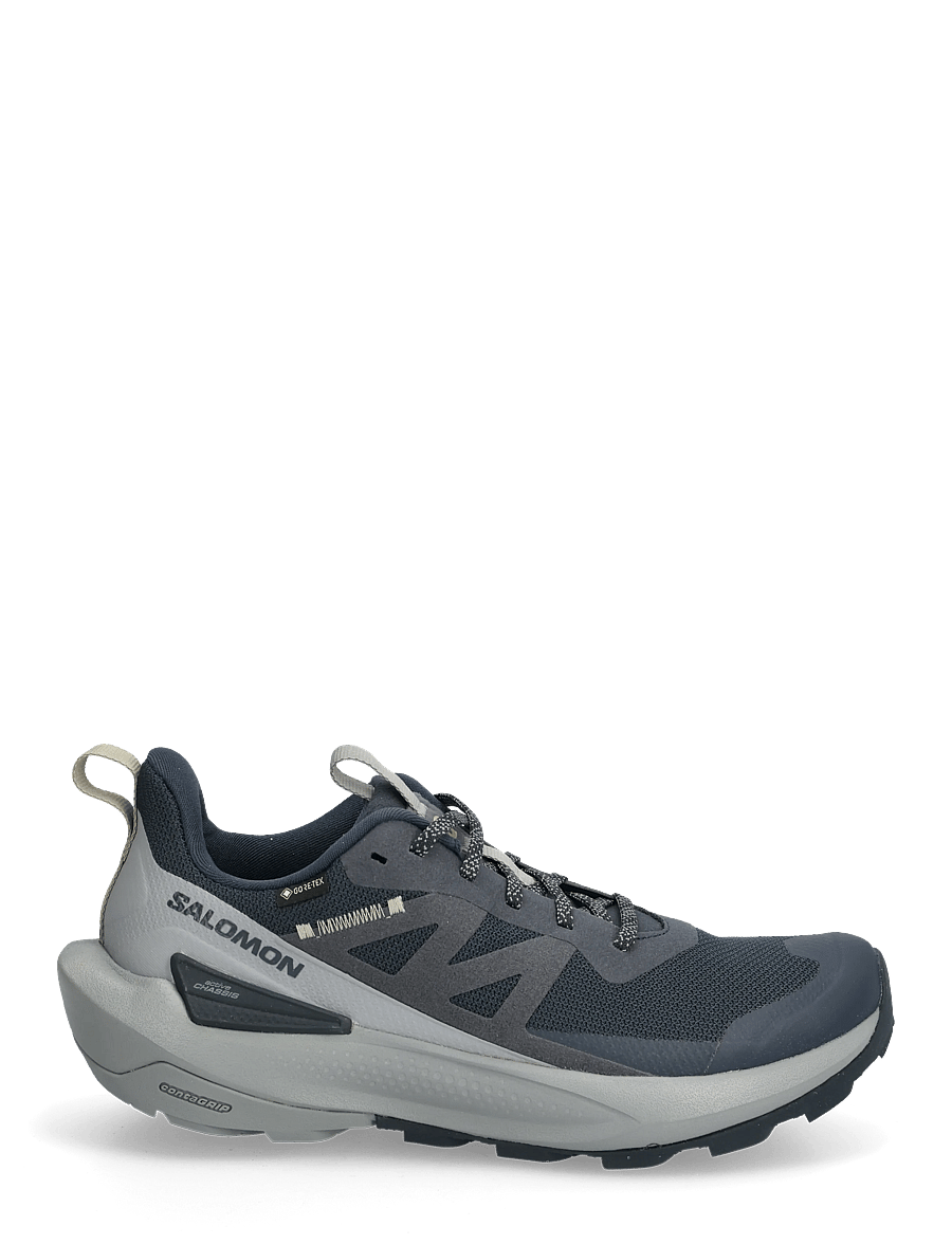 Salomon - ELIXIR ACTIV GTX - löparskor - carbon / sharkskin / slate green - 1