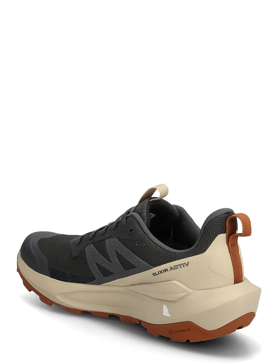 Salomon - ELIXIR ACTIV GTX - löparskor - phantom / safari / caramel cafe - 2