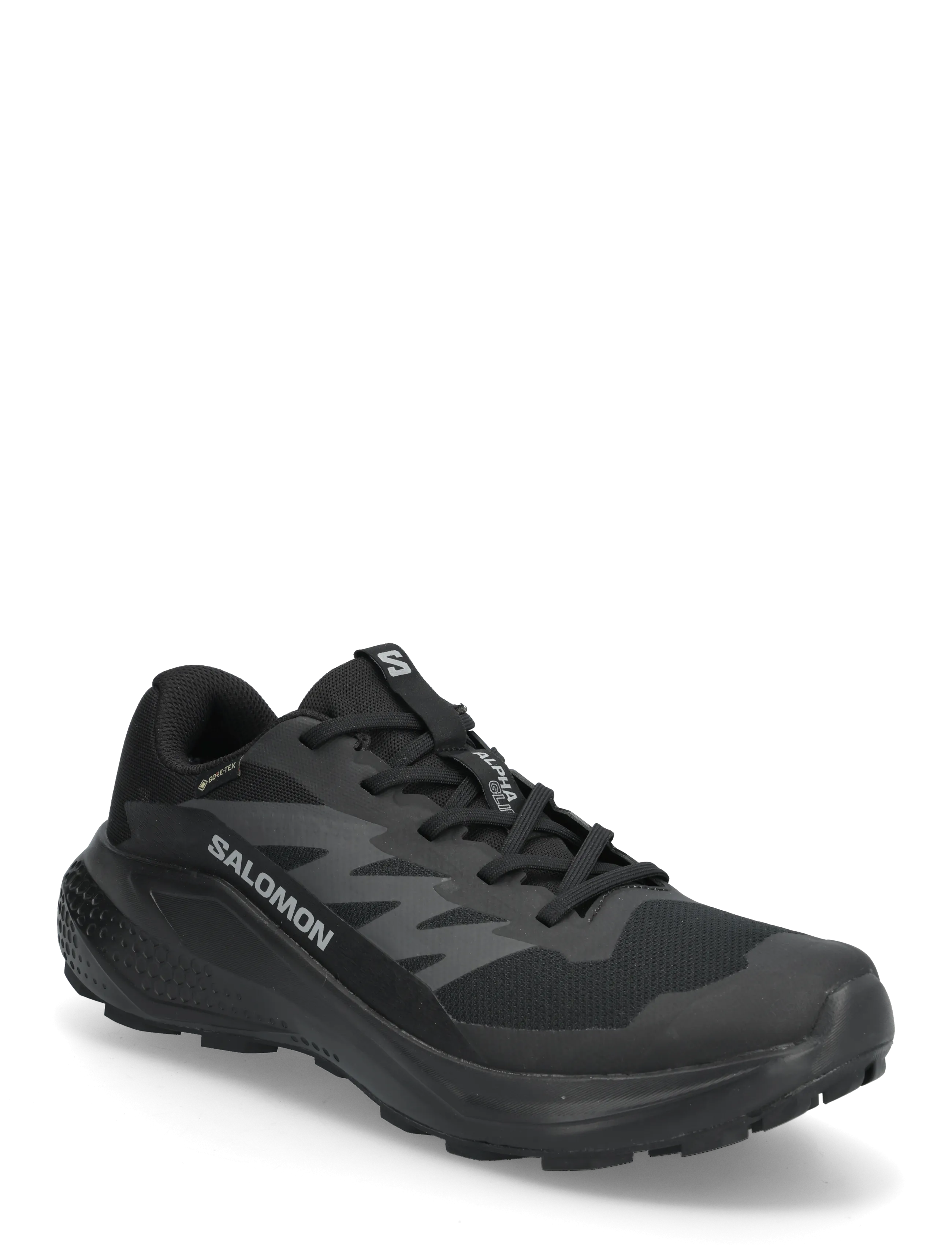 Salomon Alphaglide Gtx, 44, Black, Sport Sko > Sport Outdoor-hiking Sko, Herre