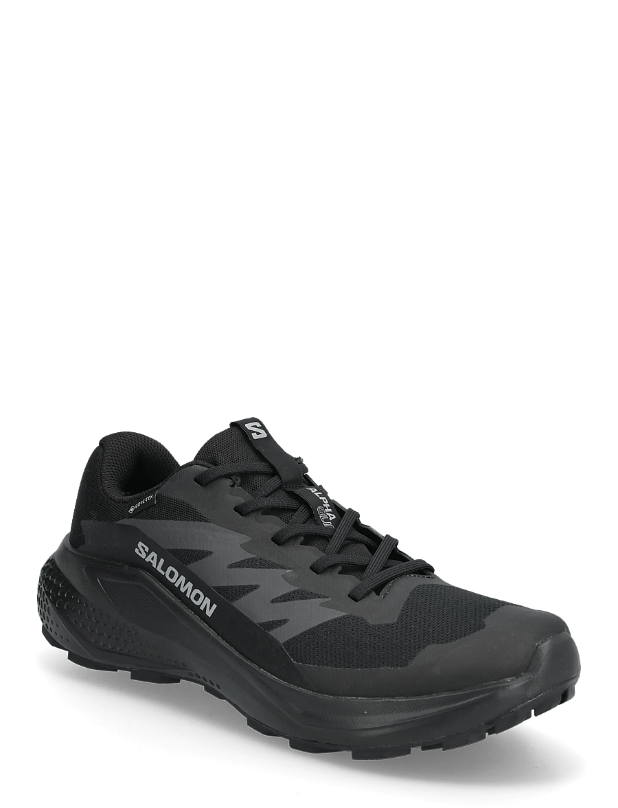 Salomon - ALPHAGLIDE GTX - vandringsskor - black / asphalt / black - 0