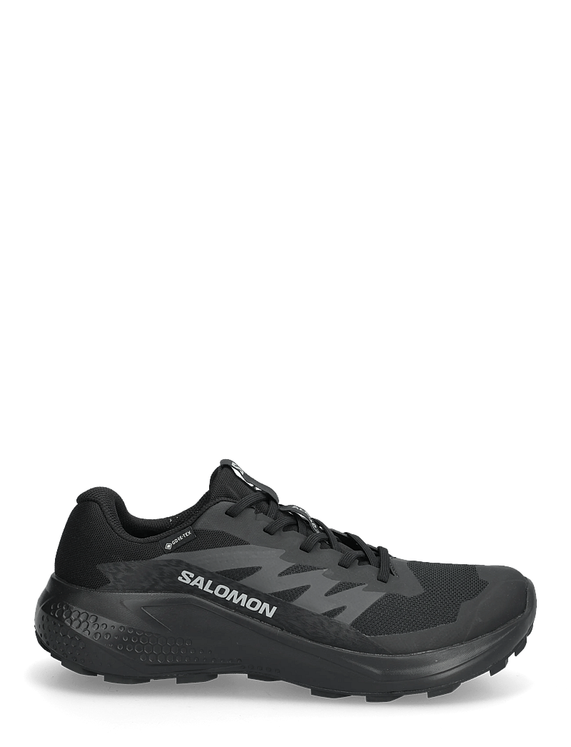 Salomon - ALPHAGLIDE GTX - wanderschuhe - black / asphalt / black - 1