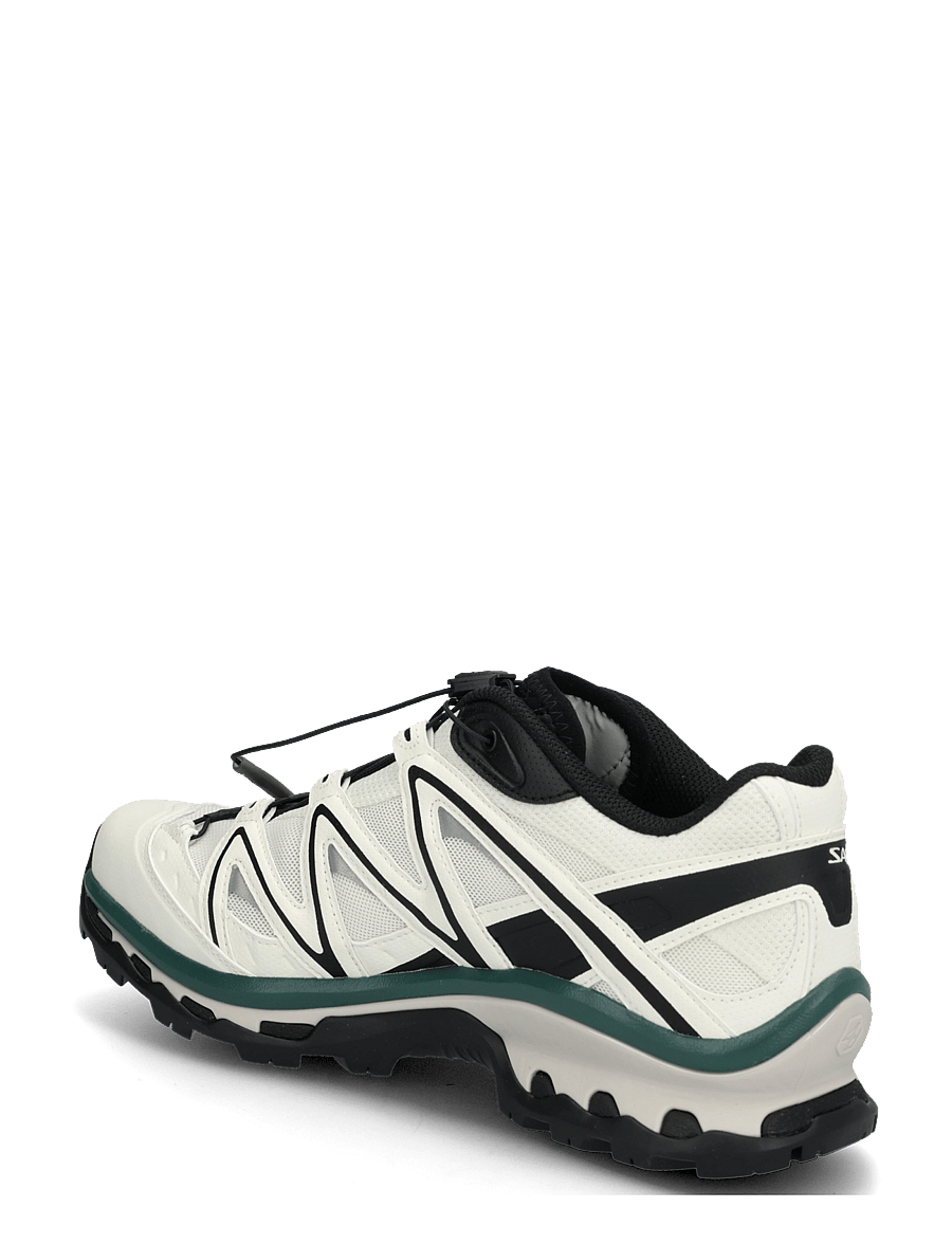Salomon - XT-QUEST - low tops - vanilla ice/black/bistgn - 1