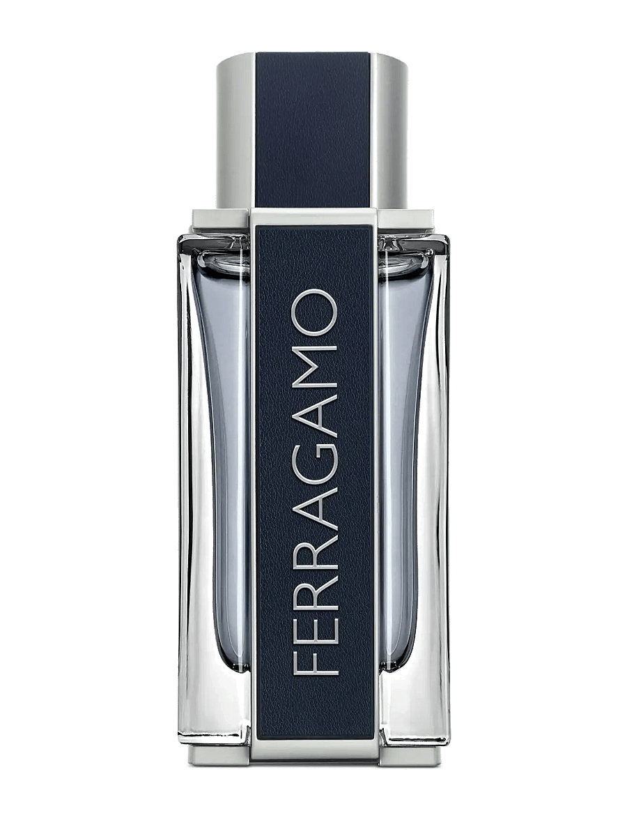 Ferragamo - Ferragamo Men EdT 100ml - till honom - clear - 0