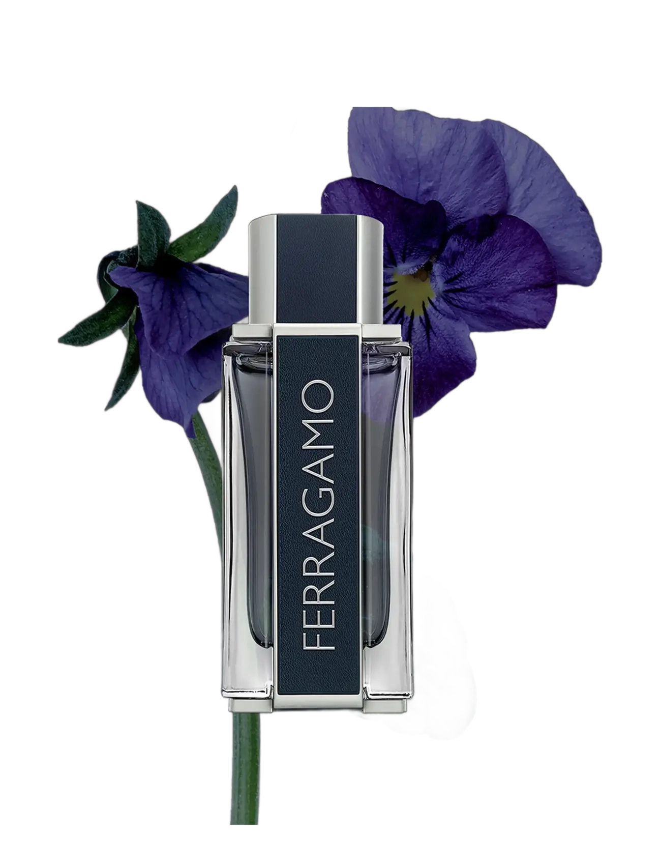 Men Edt 3