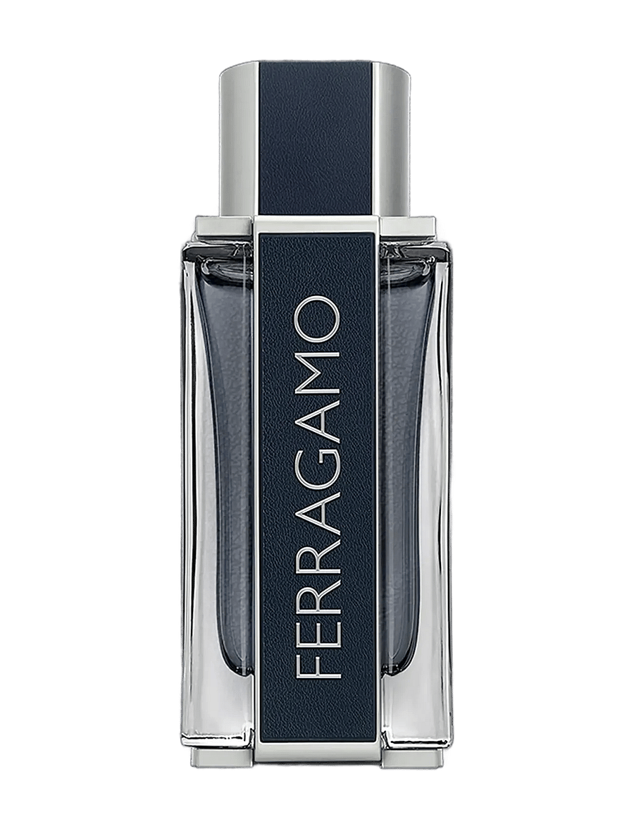 Ferragamo - Ferragamo Men EdT 100ml - till honom - clear - 3